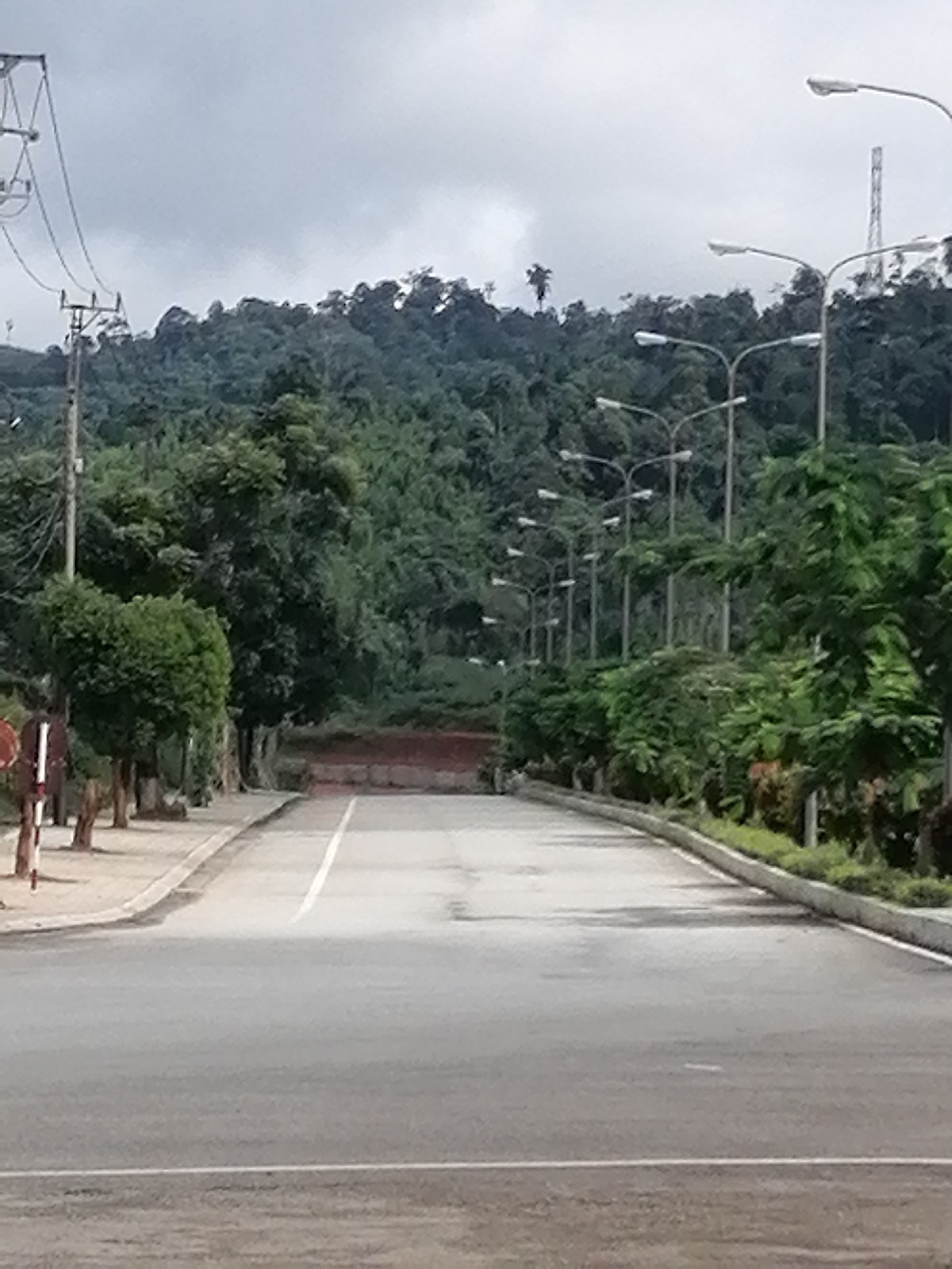 A paved road stretches into the distance, flanked by trees and streetlights on either side. In the background, a dense forest covers a hillside. The sky is overcast with gray clouds. The scene appears to be in a rural or suburban area, possibly on the outskirts of Bo Y, Vietnam. No people are visible in the image.