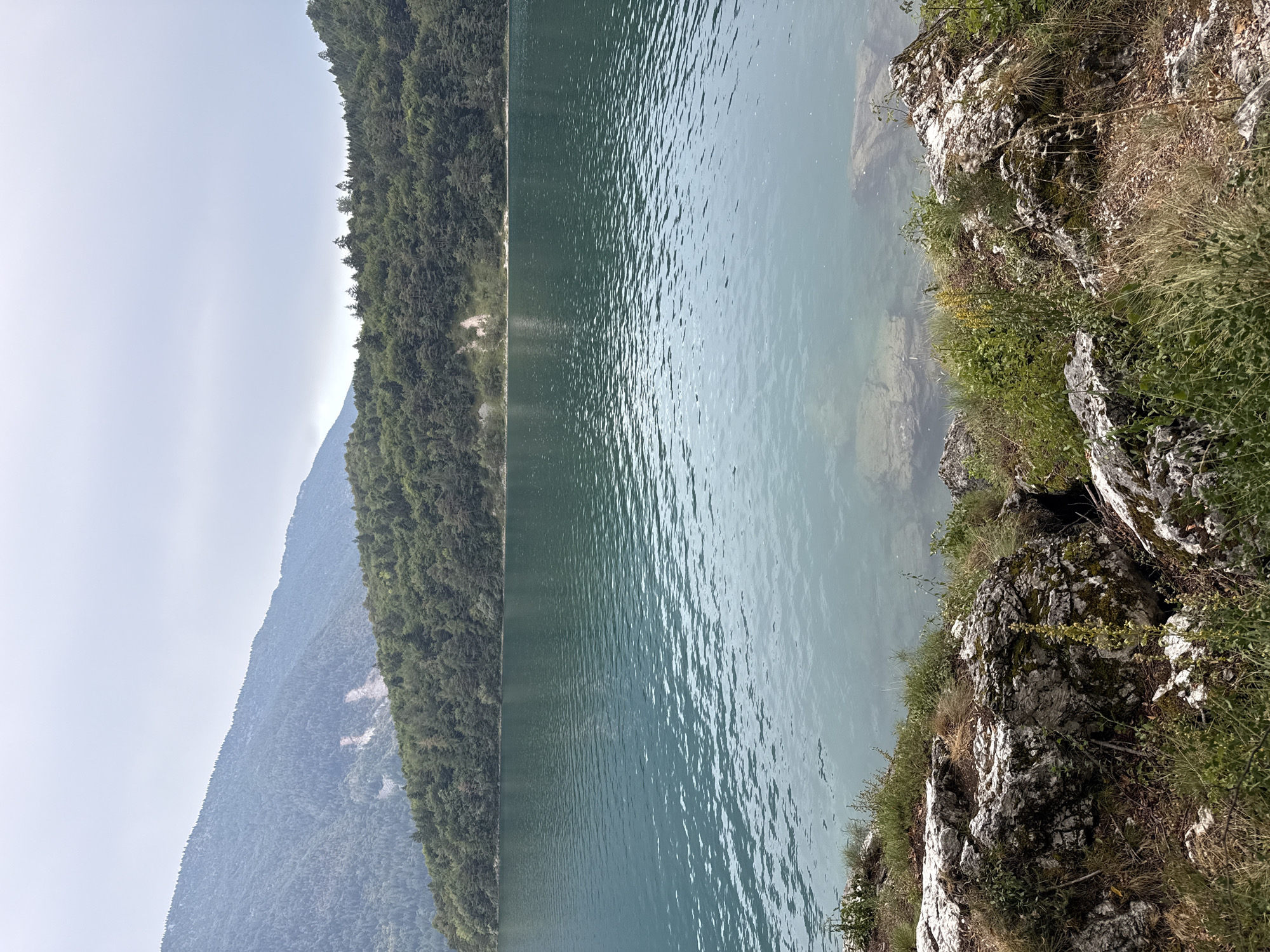 An outdoor vertical shot captures a tranquil lake scene in a mountainous region under an overcast sky. The foreground features rough, rocky terrain dotted with dry grass and small green plants. Beyond this, a vast expanse of teal-colored water dominates the frame, with gentle ripples on its surface indicating a slight breeze. The water appears clear in some areas, revealing submerged rocks. In the background, a densely forested mountainside rises, with a lighter patch of exposed earth or rock visible on one of the slopes. The furthest background shows more distant, hazy mountains. The scene evokes a sense of natural serenity and untouched wilderness, with no people or man-made structures visible.