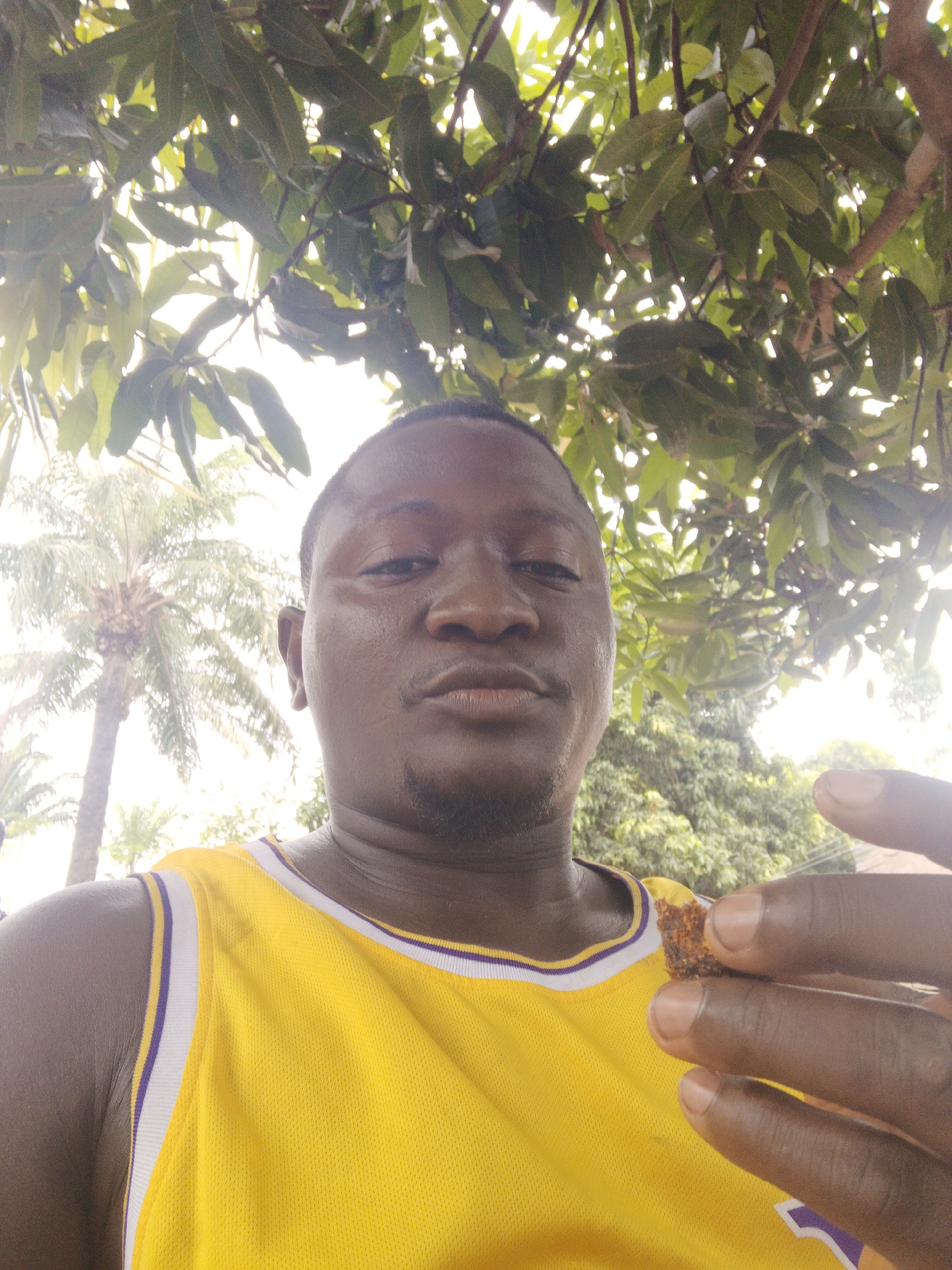 A close-up selfie of a man with dark skin and short dark hair, wearing a yellow Lakers jersey with white and purple trim. He is holding a small, brown, possibly food item between his fingers. Behind him, there is a dense canopy of green leaves, likely from a tree. To the left, a palm tree is visible. The location appears to be outdoors in Akwanga, Nigeria.