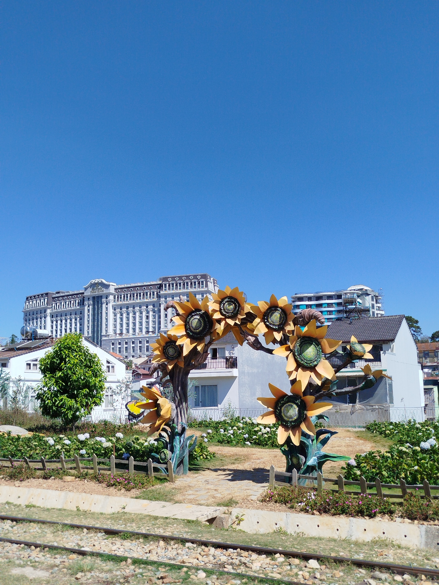 The image displays an outdoor scene in Thành phố Đà Lạt, Vietnam, under a clear, bright blue sky. In the immediate foreground, two parallel railway tracks are visible on a bed of gravel and sparse grass. A low, grey concrete retaining wall separates the tracks from a landscaped area directly behind it.
The midground features a garden space. A small wooden picket fence delineates a section containing low-lying shrubs with small pink and white flowers. Behind this fence, numerous bushes with white and light blue hydrangea-like blossoms are present. The central element in the midground is a large, arching artistic sculpture designed to resemble a stylized sunflower stalk, featuring multiple oversized yellow and green sunflower blossoms. A yellow butterfly sculpture is attached to this main structure. To the left of the sculpture, a tree with dense green foliage stands. The ground in this garden area consists of dry earth and patches of grass.
In the background, multiple buildings are visible. The most prominent structure is a large, multi-story white building with classical architectural elements, a dark mansard roof, and numerous windows, consistent with the Dalat Palace Hotel. To the right of this structure, a smaller, multi-story building with a light blue and white facade appears to be under construction, indicated by visible scaffolding. Additional smaller, white residential-style buildings with dark tiled roofs are scattered throughout the background. No individuals are visible anywhere in the scene.