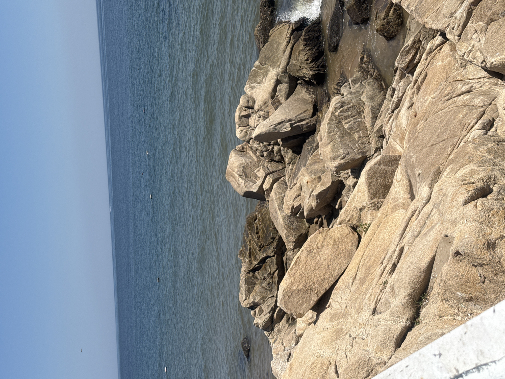 The image shows a rocky shoreline on a clear day. The sea is calm and blue, with a few white buoys visible in the distance. The rocks are large and varied in shape and color, ranging from light brown to dark gray. Some of the rocks are covered in moss or algae, and there are small waves breaking on the shore in the lower right corner of the image. In the distance, there is a faint outline of a bird in flight. The scene appears to be a natural coastal landscape, possibly part of a park or nature reserve. Qinhuangdao is a coastal city in China, known for its beaches and scenic coastline. This image could represent a typical scene from one of its coastal areas.
