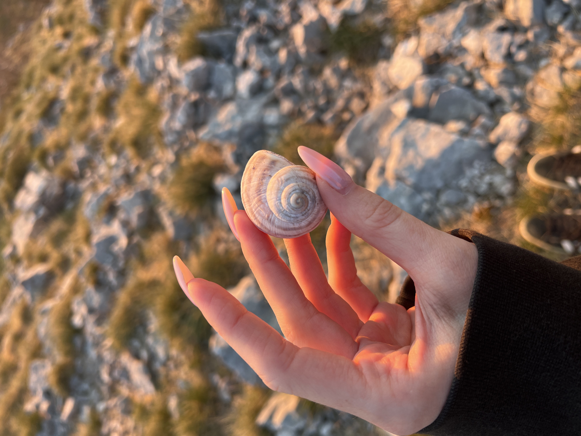 A hand with long, light pink fingernails is holding a snail shell. The background consists of rocky terrain with patches of grass and possibly moss. The warm light suggests it is late afternoon or early morning. A portion of a shoe is visible in the top right corner of the frame. Based on the location provided, the scene likely depicts a landscape in or near Dolovi, Montenegro.