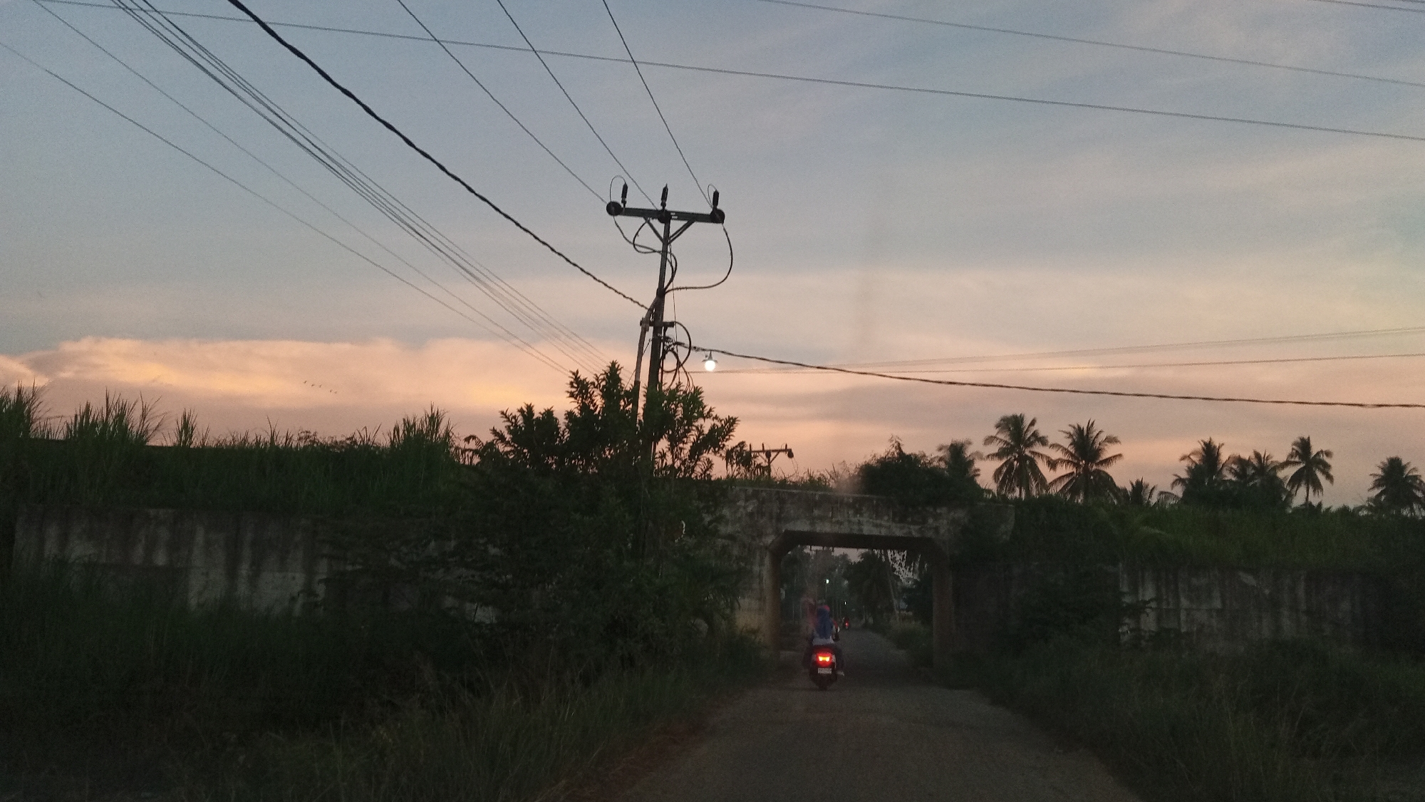 The image depicts a rural scene in Payarangkuluh, Indonesia, during twilight. A road curves into the distance, passing under an arched concrete structure overgrown with vegetation. A person on a scooter with a blue backpack is traveling away from the camera, heading towards the archway. On the left side of the road, a tall, weathered concrete wall is visible, topped with dense green grass and bushes. A telephone pole with multiple wires and a single light fixture stands prominently in the foreground, also surrounded by trees. The sky above is a soft gradient of pale blue and pink, with scattered clouds and several birds in flight near the horizon. A line of palm trees is silhouetted against the sky in the background. The overall impression is one of a quiet, end-of-day atmosphere in a tropical landscape.