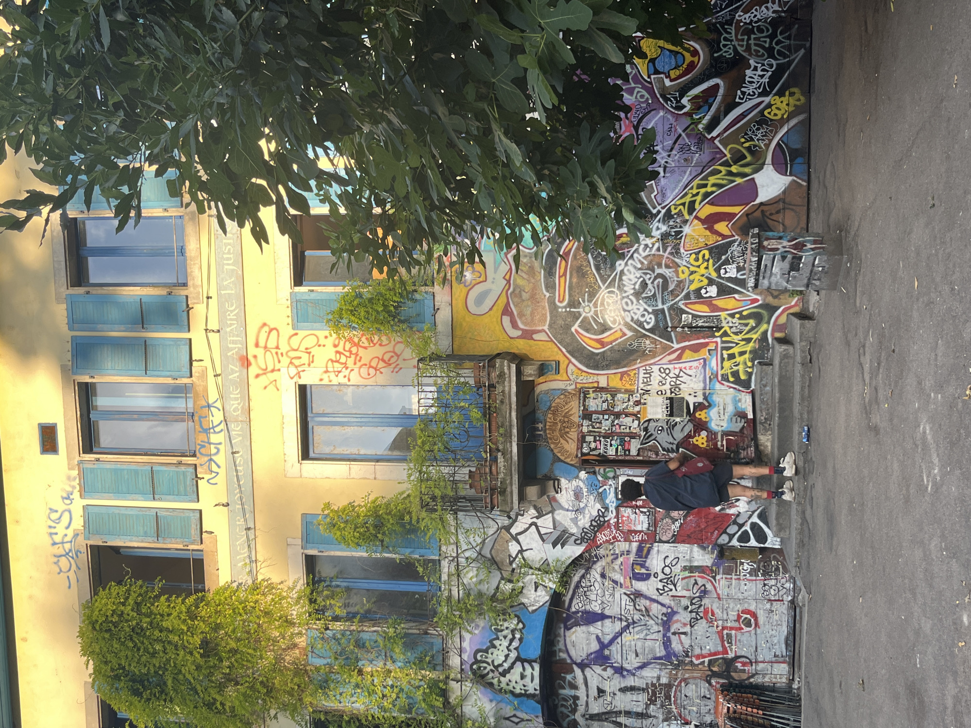 A person stands facing a building adorned with vibrant graffiti. The building has multiple stories with teal-colored shutters and windows, some of which are open. Lush green vines climb the facade of the building, particularly on the left side. The ground level is covered in a dense layer of graffiti, featuring various tags, images, and text. The person, wearing a dark t-shirt, shorts, and sneakers, carries a red tote bag over their shoulder. They are positioned on a set of concrete steps leading to an entrance. To the right of the building, a large tree with green leaves partially obscures the view. The scene appears to be in an urban environment, possibly a public space or alleyway in Geneva, Switzerland, given the style of architecture and the presence of graffiti.