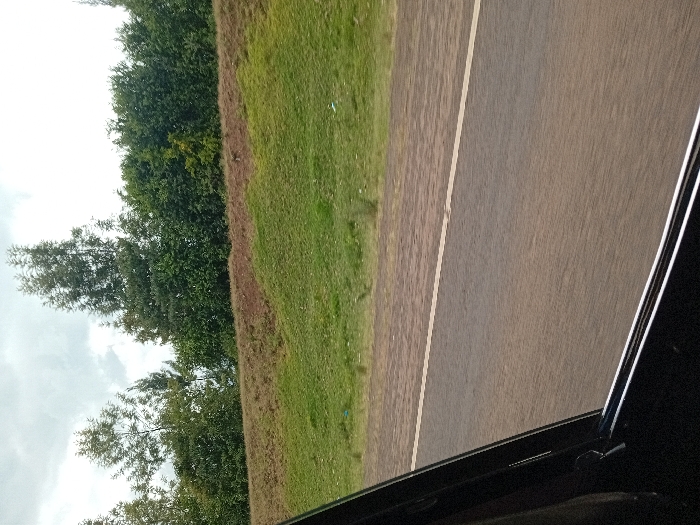 The image depicts a static exterior scene observed from inside a vehicle in Timau ward, Kenya. The lower left and bottom portions of the frame reveal the dark interior window frame of a vehicle, including a metallic sill. An asphalt road runs horizontally across the mid-ground, featuring a solid white line marking its right edge. To the right of the road, a strip of sparse, light green vegetation borders a gentle, undulating grassy embankment with areas of exposed reddish-brown soil. Above the embankment, a dense line of trees and shrubs forms the backdrop, comprising various species with both slender and dense foliage. The sky above is overcast with grey and white clouds. No individuals, animals, or specific activities are discernible within the frame.