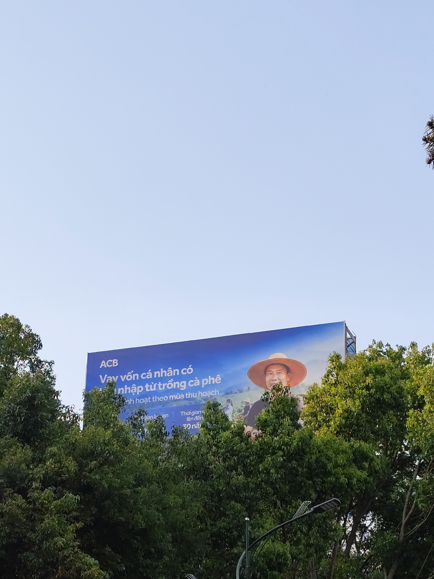 The image shows an advertisement billboard for ACB bank in Da Lat, Vietnam. The billboard features a smiling farmer wearing a traditional straw hat, with the text "Vay von ca nhan co nhap tu trong ca phe," which translates to "Personal loans with income from growing coffee." The billboard is partially obscured by trees. The sky is clear.