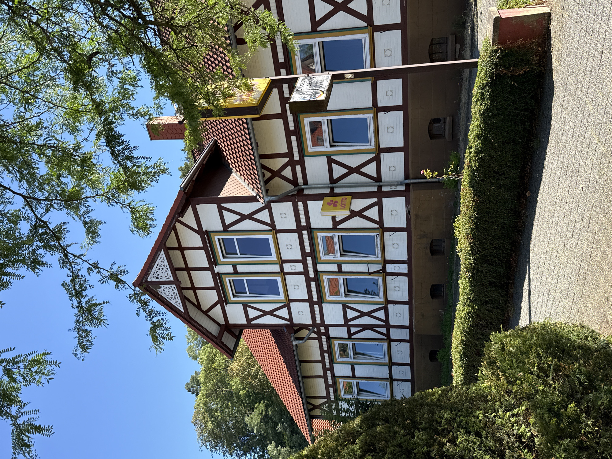 The image captures a traditional half-timbered building in Bad Sachsa, Germany, bathed in sunlight under a clear blue sky. The building features white infill between dark brown timber framing, with a prominent red-tiled roof and a chimney. The facade is adorned with multiple windows, some with yellow and green frames, reflecting the surroundings. Two signs are visible: a yellow sign with "LOTTO" and a square sign with an illustration and text in German, possibly indicating a business. In the foreground, a neatly trimmed green hedge runs along a stone border, with a paved walkway extending beyond it. A large evergreen shrub partially obstructs the left side of the frame, and the branches of a leafy tree extend from the top right, casting shadows. The scene is serene and depicts a well-maintained property within a natural setting.