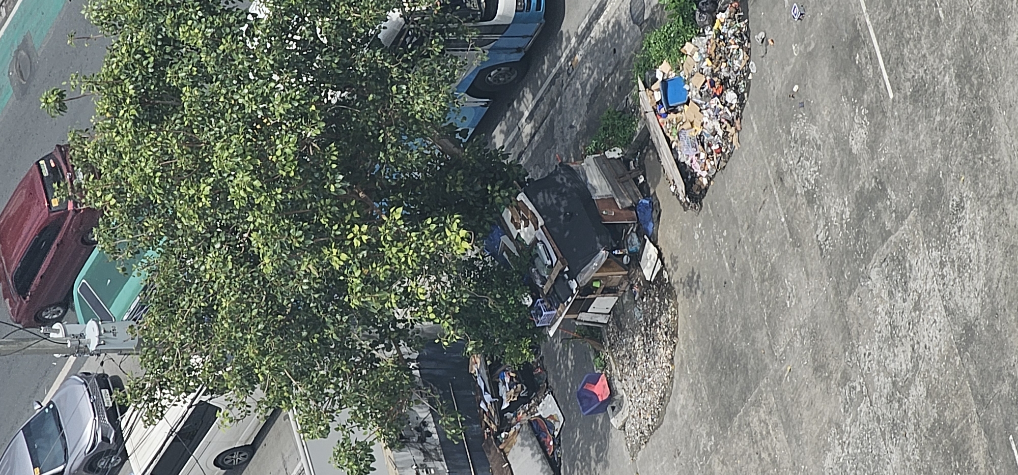 The image depicts an outdoor scene in Makati City, Philippines, characterized by urban elements and signs of informal settlement. A large tree dominates the central area, its dense foliage casting shadows. Beneath the tree, a makeshift dwelling constructed from salvaged materials like wood, corrugated metal, and black tarpaulin is visible. The structure appears small and rudimentary, suggesting it is a temporary or informal shelter.
Surrounding the dwelling is an accumulation of debris and refuse, indicative of a neglected or marginalized area. Piles of trash, including plastic containers, cardboard boxes, and other assorted waste, are scattered around the structure and the base of the tree, forming a significant visual element of the scene. Some pieces of furniture, such as a blue and red chair, are also present among the debris.
In the background, elements of the urban environment are discernible. A portion of a blue and white bus is parked on a paved road to the right of the frame. Further left, several vehicles are parked on a street: a silver SUV, a white van, and a darker colored car. Electrical poles and cables are also visible, suggesting the presence of infrastructure within the city. The ground surface in the foreground is primarily concrete, showing wear and tear and further scattered litter. The overall impression is one of a densely populated urban area with stark contrasts between formal infrastructure and informal living conditions.
