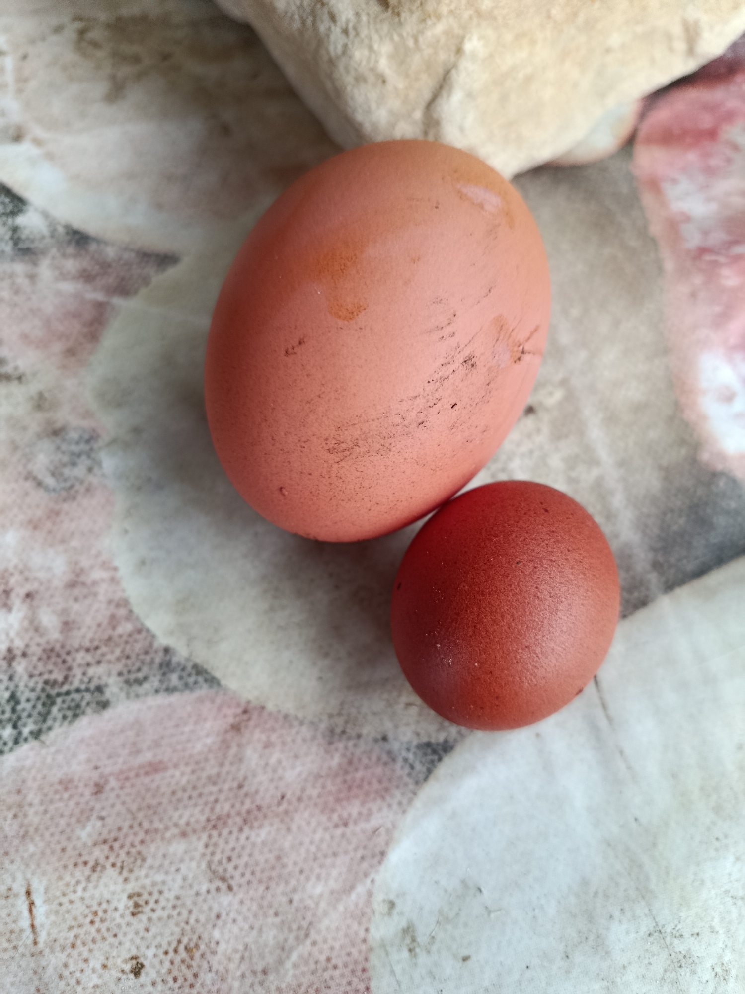 The image shows two brown eggs on a patterned surface. One egg is larger and to the left, while the other is smaller and to the right. In the background, there are two rocks, one lighter and the other darker. The scene is indoors or outdoors, on a surface that appears to be a tablecloth or fabric. The lighting suggests daylight. There are no people or animals visible in the image. The location of the city of Верея, Russia, is not discernible from the image content.