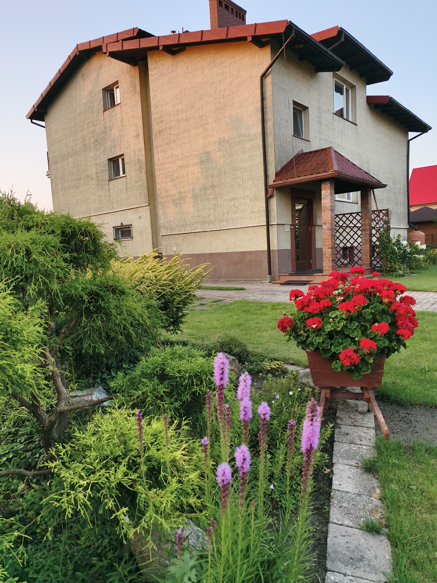 The image depicts the exterior of a two-story house with a light beige facade and a reddish-brown roof. The house has several windows and a prominent brick chimney. In the foreground, there is a lush garden with various green plants, including dense bushes and taller flowering plants with purple spikes. A wooden planter filled with bright red geraniums sits on the lawn next to a stone pathway. The scene is set in a residential area, with another house featuring a red roof visible in the background. The lighting suggests it is either early morning or late afternoon. This residential property is located in the city of Tczew, Poland.