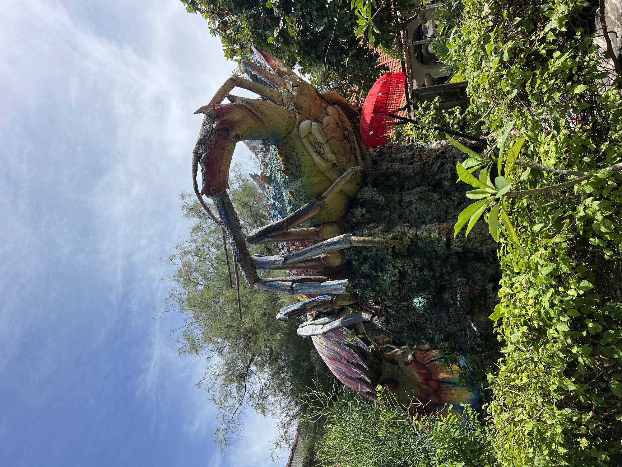 The image captures a large, vibrant, and highly detailed sculpture of a lobster, positioned outdoors amidst lush green tropical foliage. The lobster is painted in a striking palette of reds, oranges, yellows, blues, and greens, highlighting its segmented body, prominent claws, and antennae. It appears to be integrated into a textured, rock-like base also adorned with vegetation, suggesting it's a permanent decorative feature.
To the upper right of the lobster's head, a small, bright red umbrella with fringes is partially visible, peeking through the dense leaves. This umbrella, along with the surrounding greenery, suggests an outdoor setting, possibly a garden, restaurant entrance, or public area. The background is filled with a variety of tropical plants, including broad-leaved bushes and trees with finer needle-like foliage, creating a rich, verdant environment.
Above the scene, the sky is clear and blue with scattered, wispy white clouds, indicating bright daylight and sunny weather. There are no people visible in the image, and no specific activity is taking place; the scene is a static display of the sculpture and its surroundings. No visible text is present. Given the context of Denpasar, Indonesia, this elaborate and colorful sculpture likely serves as a distinctive landmark or attraction in a coastal or tourist-oriented area.