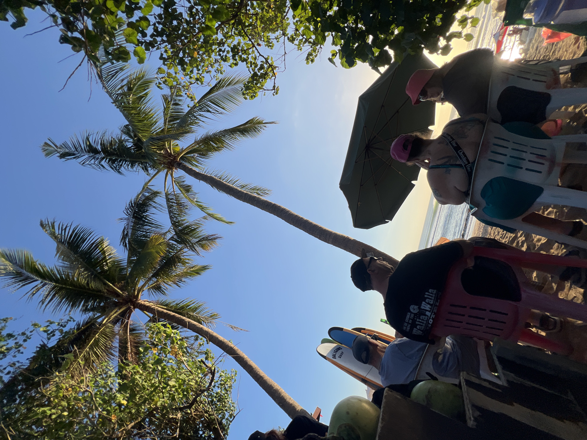 The image captures a serene beach scene in Kuta, Indonesia, with a group of people seated on chairs, facing the ocean. Two tall palm trees frame the sky, their fronds rustling in the gentle breeze. The sun, low on the horizon, casts a warm, golden glow across the scene, creating a peaceful ambiance.
In the foreground, a collection of surfboards stands upright, hinting at the activities available at this popular tourist destination. The people, seen from behind, are engaged in quiet contemplation, perhaps enjoying the sunset or the sound of the waves. Their casual attire and relaxed posture suggest a leisurely day at the beach.
The background reveals a stretch of sandy beach, dotted with a few umbrellas and sunbathers. The ocean, with its gentle waves, stretches out to the horizon, meeting the clear blue sky. The overall impression is one of tranquility and relaxation, a perfect escape from the hustle and bustle of daily life.