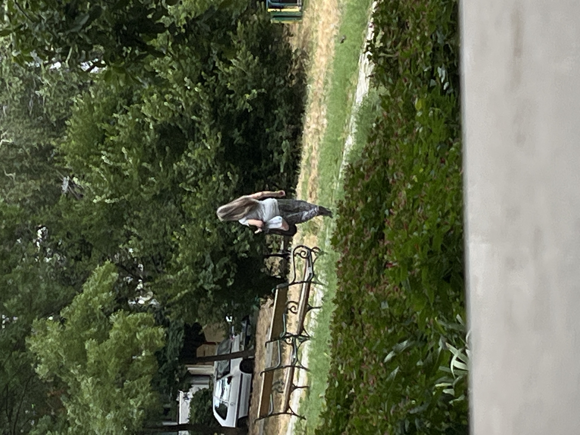 A person with long, graying hair, wearing a gray t-shirt and patterned pants, walks away from the camera on a paved path in a park setting. They are carrying a bag in their right hand. To the left of the path, there are two empty park benches with dark metal frames and wooden slats. Beyond the benches, several cars are parked, including a white hatchback. The background is filled with dense green trees and foliage. In the foreground, a low hedge of green bushes with some reddish-pink elements is visible. The overall lighting suggests an overcast day. The image appears to have been taken in Varna, Bulgaria, near a residential area.