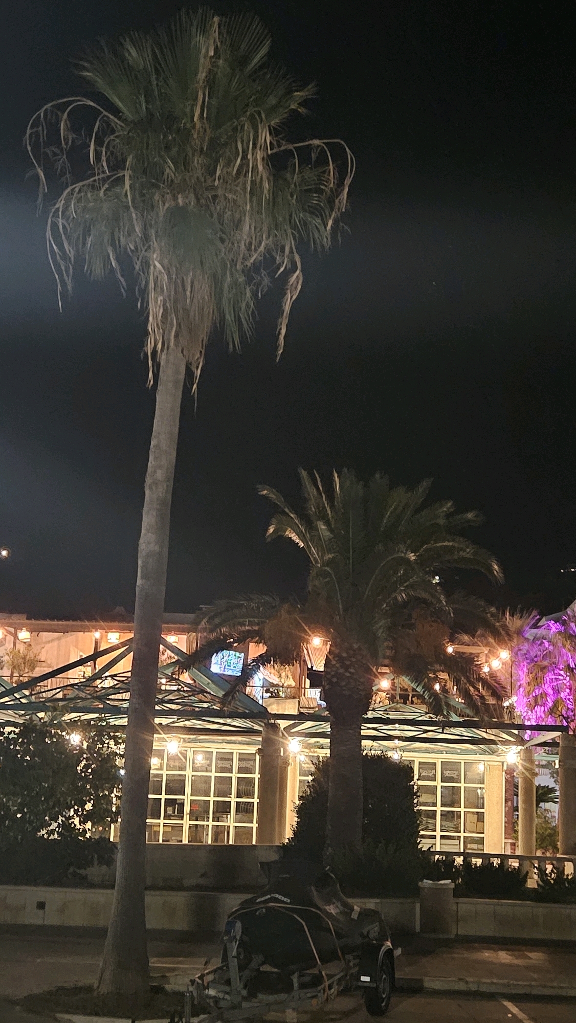 The image shows a nighttime scene featuring several palm trees in front of a building with illuminated windows and string lights. In the foreground, a personal watercraft is parked on a trailer. One tall palm tree is on the left, with its fronds reaching towards the dark sky. Another palm tree with a thicker trunk is located to the right of the first, and behind it, more palm trees are visible, some illuminated with pink lights. The building has a covered walkway with exposed beams and a grid-like pattern of windows. The ground appears to be paved. The location is identified as Općina Tučepi, Croatia. There are no people visible in the image.