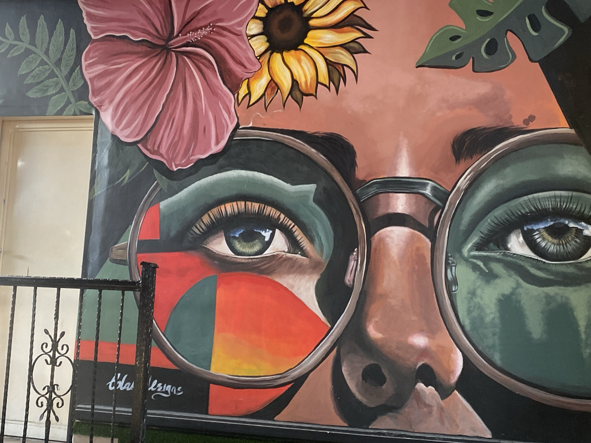 The image is a close-up of a mural painted on a wall. The mural depicts a person's face, focusing on their eyes and nose, framed by large, round glasses. The eyes are rendered with striking detail, one showing a green iris and the other a darker iris reflecting light. The glasses themselves have a unique design, with the lenses appearing to reflect abstract shapes in red, green, and yellow on one side and a greenish hue on the other. The person's skin is painted in warm brown tones, with emphasis on the contours of their nose and cheekbones.
Above the face, the mural features large, vibrant flowers. A detailed pink hibiscus with delicate petals dominates the left side, while a bright yellow sunflower with a dark center is positioned to its right. Green foliage, including fern-like leaves and a monstera leaf, frames the upper portions of the mural.
In the lower left corner of the mural, beneath the glasses and partially obscured by a black metal fence, a signature in white cursive lettering reads "Tblase Designs." The fence itself is made of vertical bars with decorative scrollwork. The background of the mural transitions from a deep blue on the left, where the fern is painted, to a peachy-pink tone behind the flowers and face.
The mural is located on an exterior wall in Howayi, Nigeria. The presence of the fence suggests it may be part of a public space, a business, or a residential area. The overall impression is one of vibrant color and artistic expression.