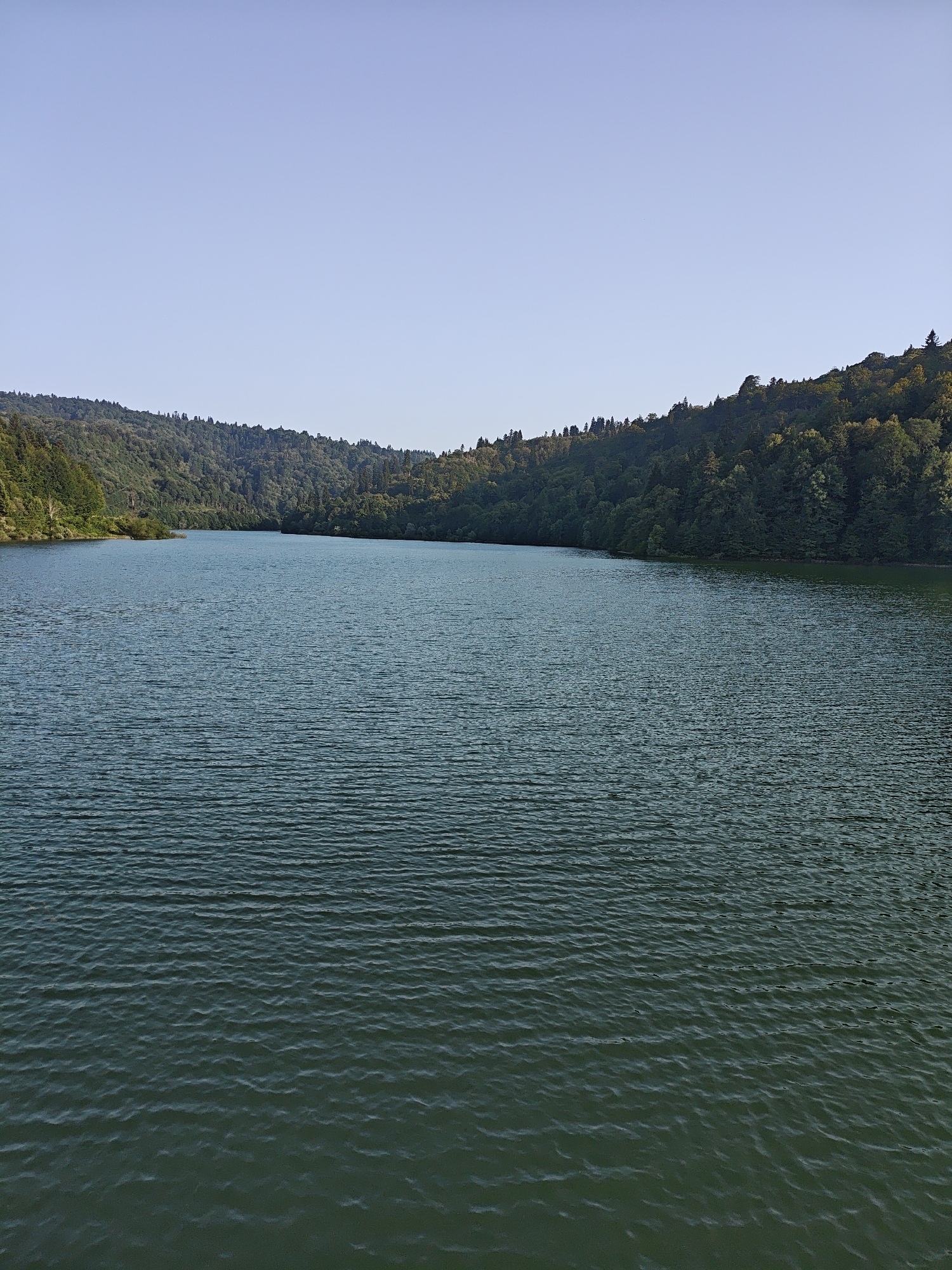 A wide shot shows a tranquil lake with a forest-covered hill in the background. The water is a deep blue-green with subtle ripples on its surface. The hill is densely wooded with a variety of trees, their leaves a mix of dark green and lighter shades. The sky above is a clear, pale blue. The scene is serene and natural, with no signs of human activity.
