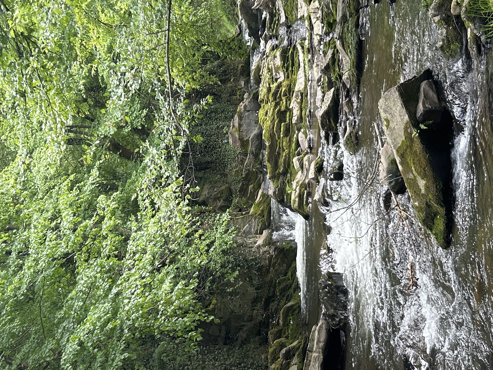 The image shows a cascading stream flowing over moss-covered rocks, flanked by lush green vegetation on the left. The water is clear, with visible ripples and movement as it falls over the rocks. The setting appears to be a natural, wooded area. Location: Unknown, Unknown.
