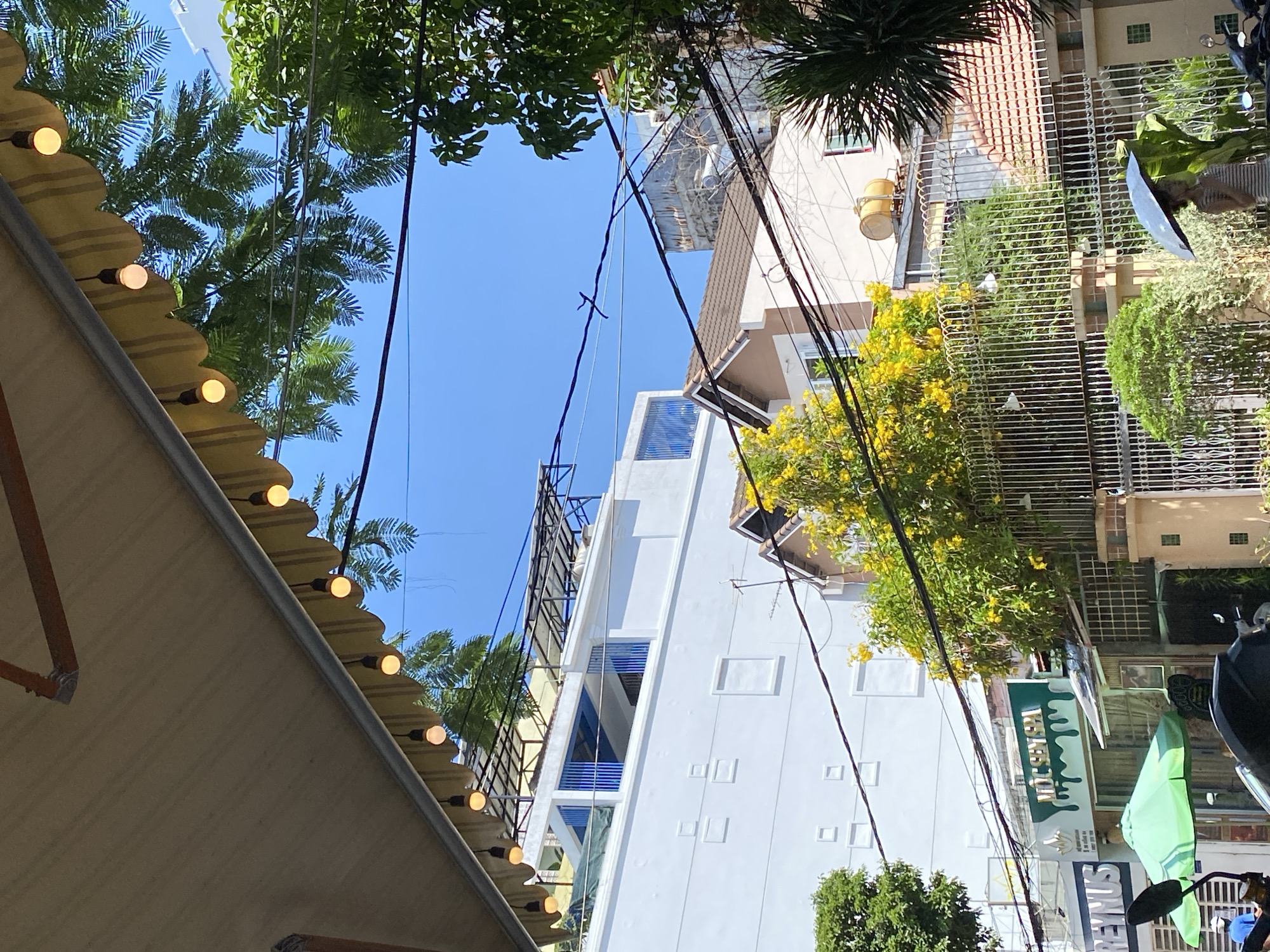 An outdoor shot from below an awning shows a street scene in Nha Trang Ward, Vietnam. The awning is beige with a yellow scalloped edge and a string of warm-toned bulbs. Beyond the awning, a bright blue sky is visible, dotted with green foliage and power lines.
In the mid-ground, a white building with a flat roof and rectangular window indentations stands prominently. Above this building, a sloped roof with solar panels is visible. To the right, a smaller, cream-colored building with a brown tiled roof features a prominent yellow flowering tree in front of it. A metal fence runs along the property line.
Further to the right, the top of a red tiled roof is visible. Several power lines crisscross the frame, connecting various structures. In the lower left, a green umbrella is partially visible, along with parts of a motorcycle. To the right of the fence, a person is holding a dark blue umbrella. The overall impression is a sunny day in a densely populated urban area.