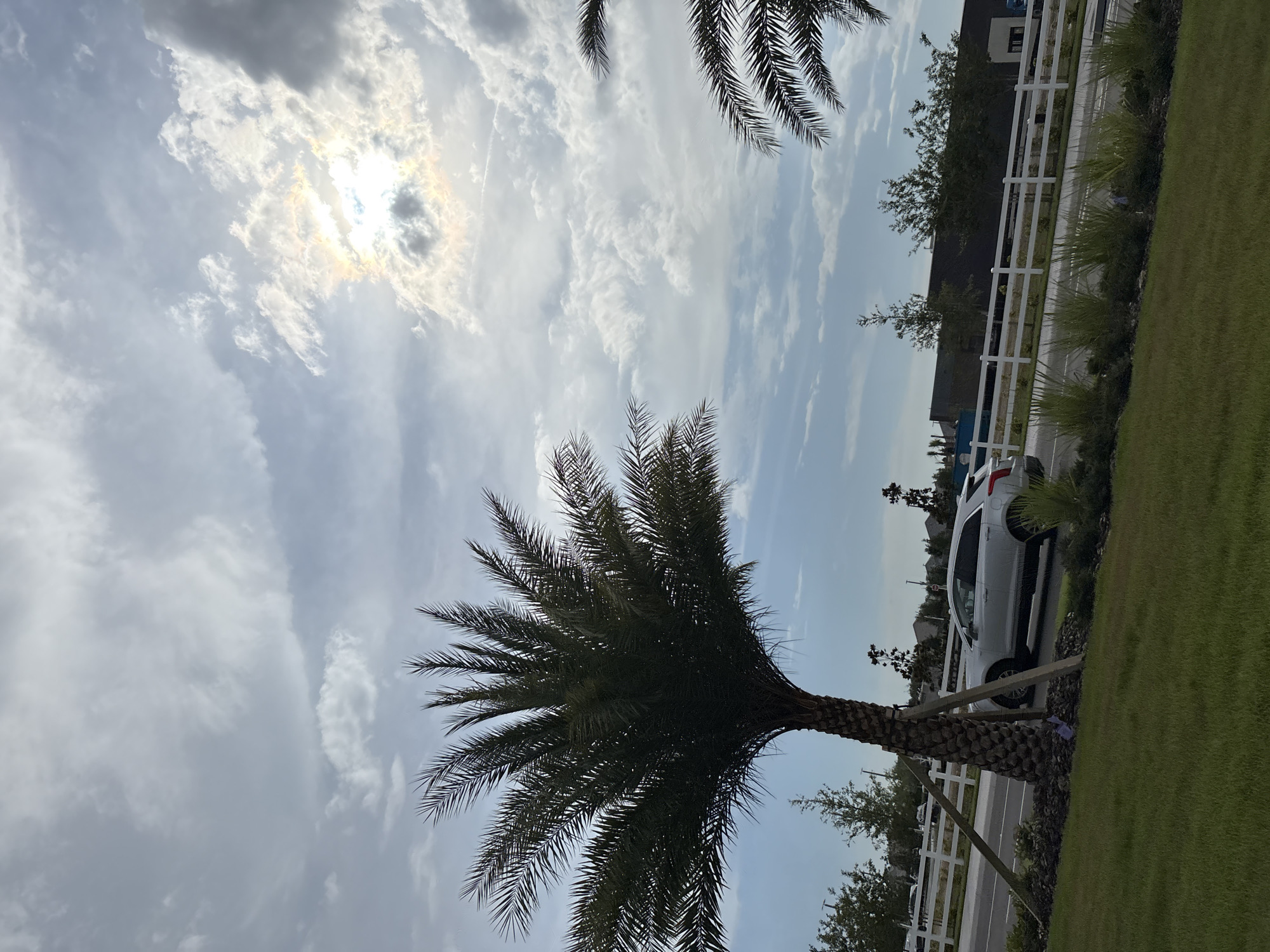 This is a photograph taken outdoors, likely during the daytime. The scene features a palm tree in the foreground on the left, with its fronds extending towards the top of the frame. Behind the palm tree, a silver SUV is parked on the right side of a paved road. A white fence runs parallel to the road, bordering a grassy area with landscaping. In the background, there are buildings and trees, suggesting an urban or suburban environment. The sky is partially cloudy, with the sun visible through a break in the clouds, casting a bright glow and a rainbow-like effect. There are no people visible in the image.