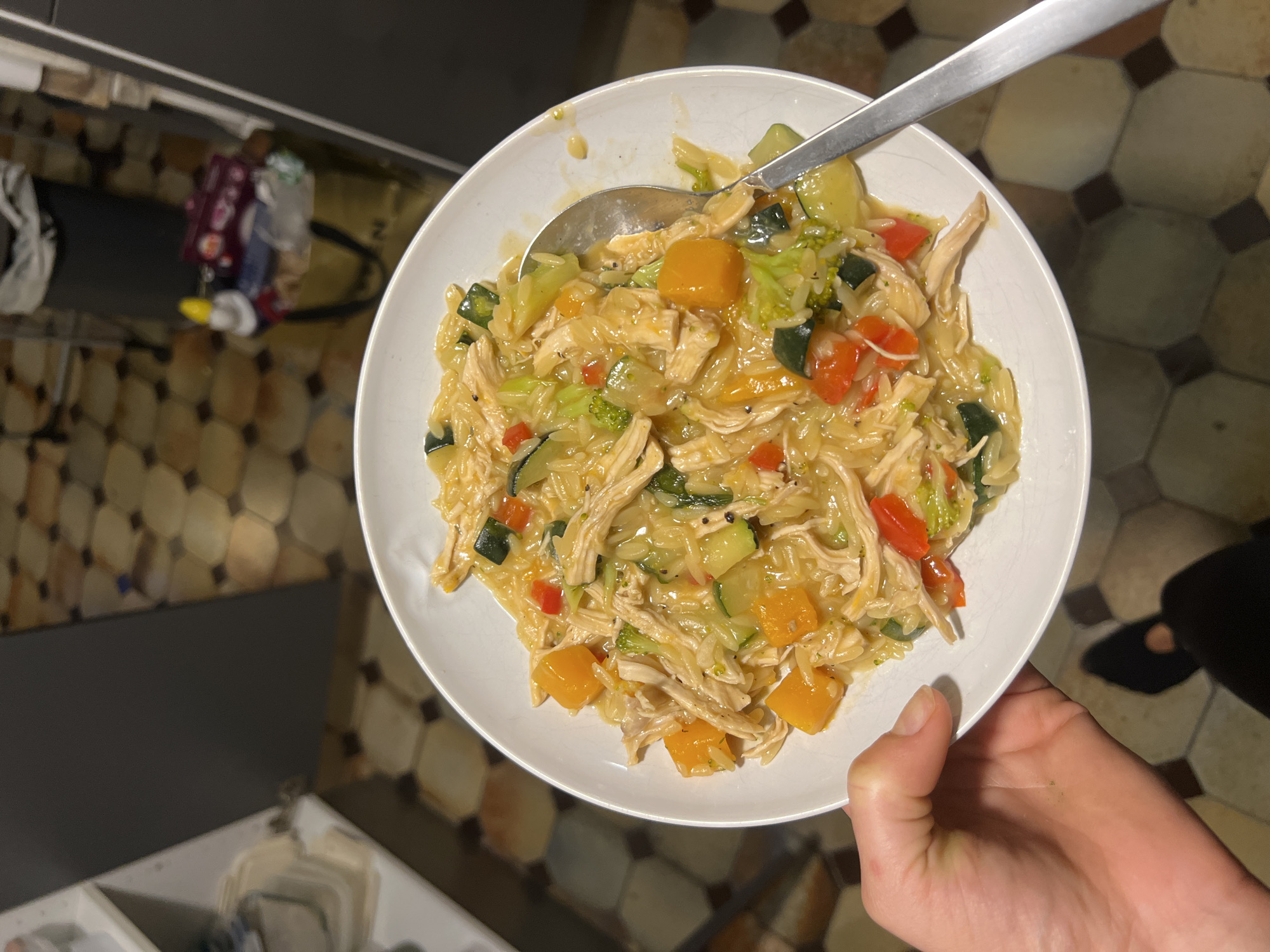 A high-angle shot depicts a white plate filled with orzo pasta mixed with shredded chicken and various vegetables, including zucchini, broccoli, and diced red and orange peppers. A silver spoon rests on top of the food. A human hand holds the plate. The background shows a kitchen counter, a sink, and a floor with a hexagonal tile pattern. The image does not show any features specific to Paris, France.