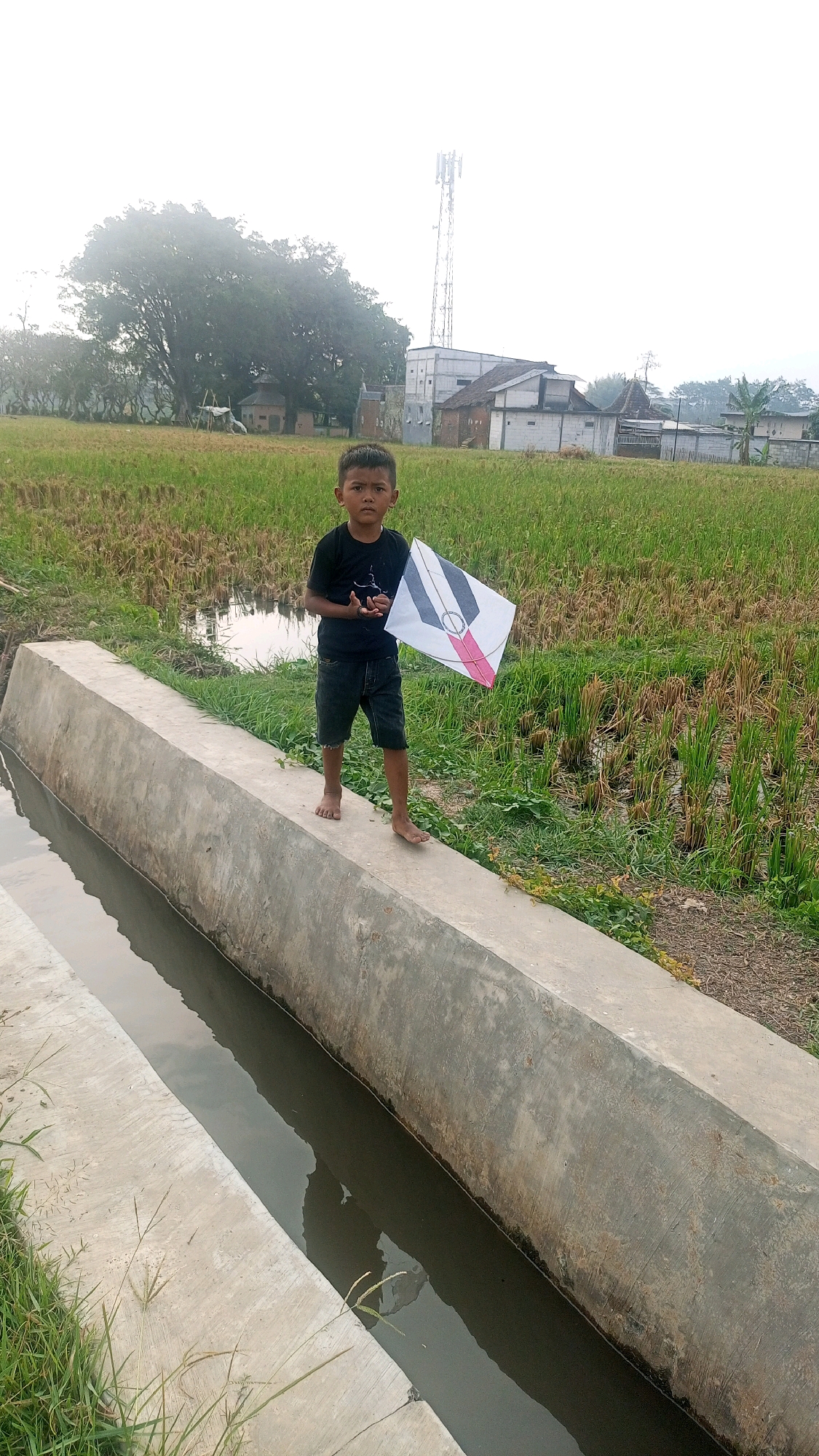 A young boy stands on the edge of a concrete irrigation channel in what appears to be a rural area of Mangliawan, Indonesia. He is holding a kite, which is predominantly white with black and pink geometric designs. The boy is wearing a black t-shirt and dark shorts, and is barefoot. The irrigation channel is filled with dark water. The surrounding environment consists of green and dried rice fields, with a large tree and some buildings visible in the background, along with a telecommunications tower. The sky is overcast.