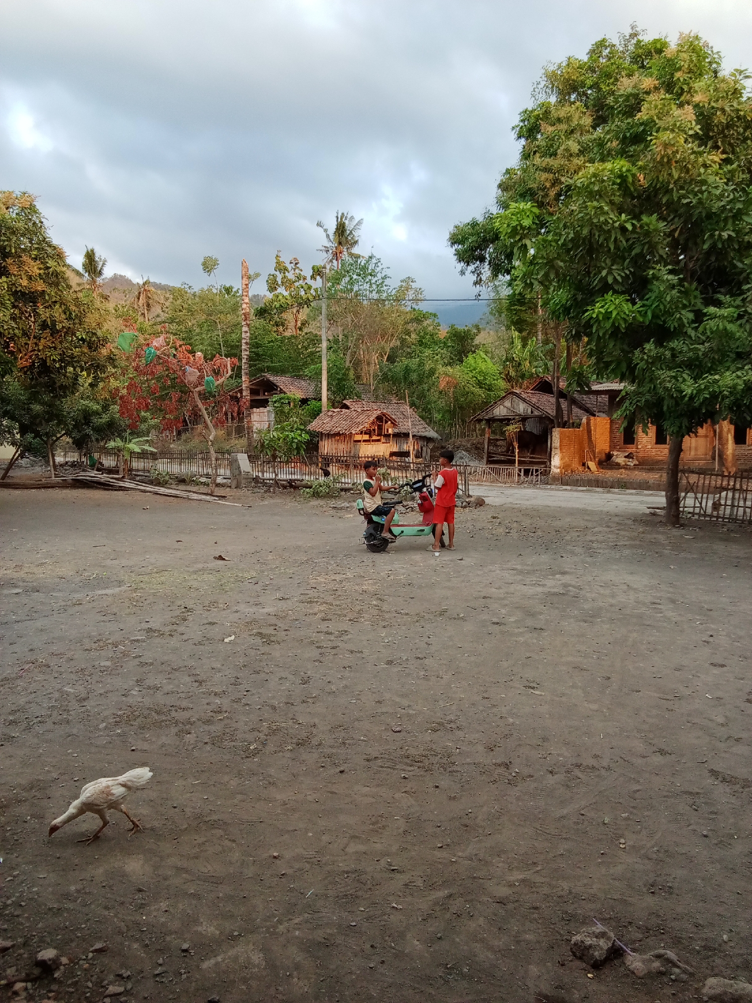 This image depicts a rural scene in Selowogo, Indonesia, characterized by dry, dusty ground and traditional Indonesian village architecture. In the foreground, a white chicken pecks at the ground. In the mid-ground, two children are near a teal and white object, possibly a small vehicle or toy. One child is seated on it, while the other stands beside it. Behind them, several simple, wooden structures with thatched or tiled roofs are visible, typical of rural Indonesian homes. The background shows lush green vegetation, including trees and hills, under a cloudy sky. The overall impression is one of a peaceful, everyday moment in a village setting.