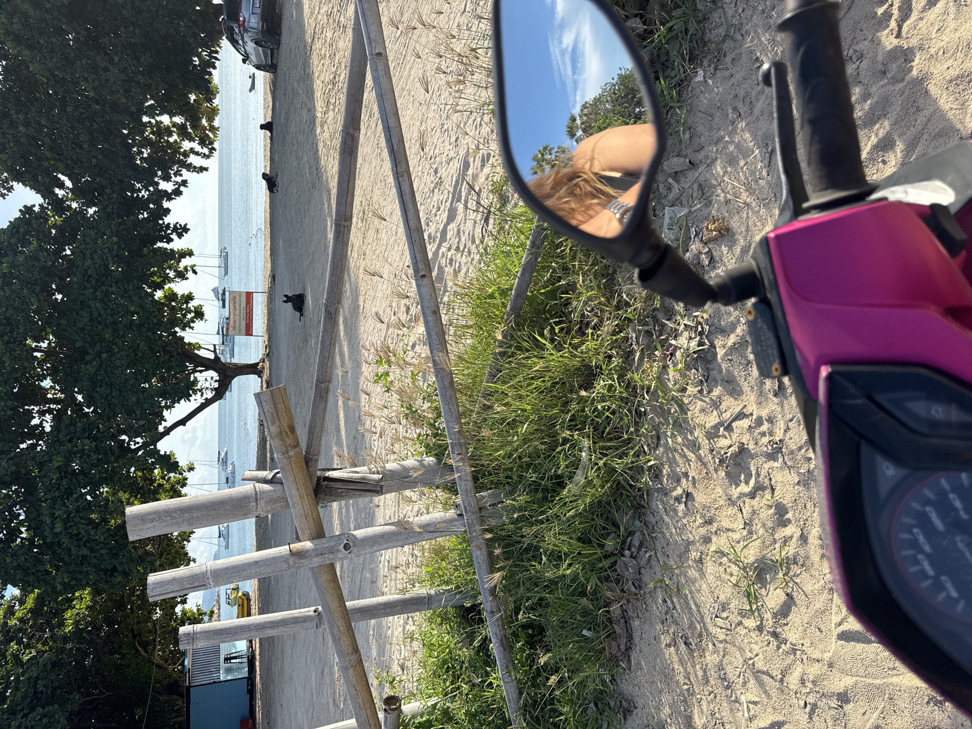 The image depicts a beach scene, likely in a tropical location, as suggested by the palm trees and clear blue sky reflected in the motorcycle's mirror. A pink motorcycle is partially visible in the foreground, with its handlebars and part of the dashboard showing. A motorcycle mirror reflects a person with long, wavy hair and a watch on their wrist, facing away from the camera.
In the mid-ground, a sandy beach stretches towards the ocean. A rustic bamboo fence or barrier runs horizontally across the scene, with green grass and dry reeds growing around it. Beyond the fence, several boats are anchored in the calm, blue water. A red sign is also visible near the water's edge.
On the sand, three black dogs are resting or lying down. A dark-colored SUV is parked on the beach to the right of the frame. In the background, lush green trees with dense foliage provide shade, and a bright blue building with white striped accents is situated near the shore. The overall atmosphere is one of a relaxed beach environment.