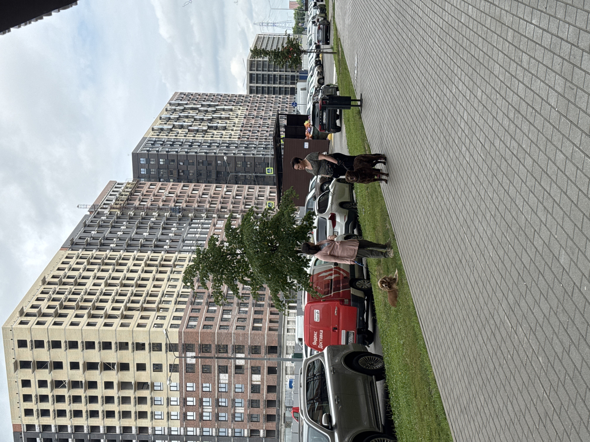 The image depicts an outdoor scene in the city of Mirny, Russia, characterized by a row of multi-story apartment buildings under construction and completed. In the foreground, a paved walkway runs parallel to a grassy area where several cars are parked along the street. Two women are present; one is standing with a dark brown dog on a leash, while the other is walking a lighter brown dog on a leash, with another dog lying down in the grass nearby. A red delivery van with Cyrillic text, possibly indicating a delivery service, is parked on the grass. The sky is overcast.