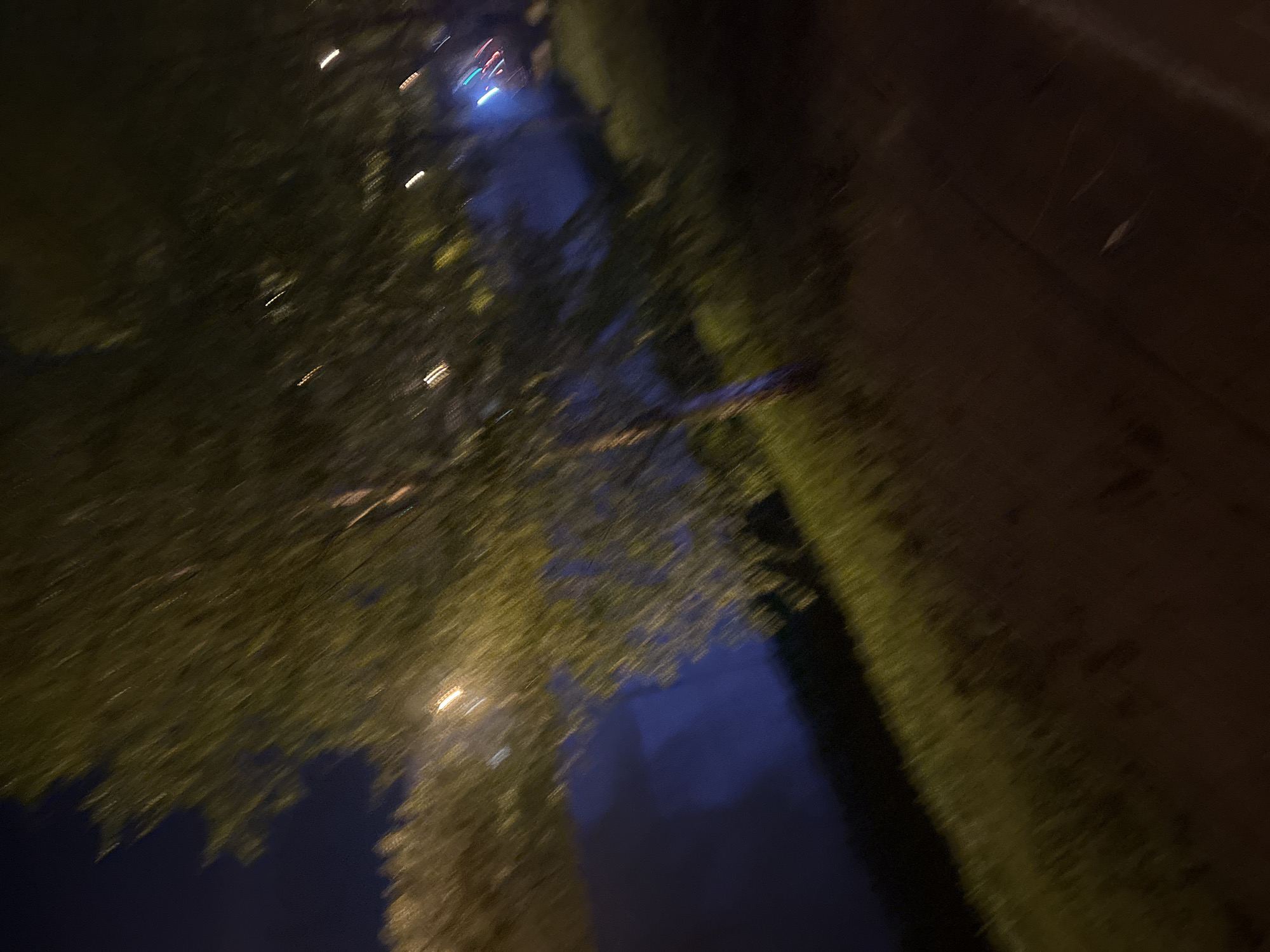 This heavily motion-blurred image captures an abstract night scene, likely taken from a moving perspective. The top-left and central-left portions of the frame are dominated by dark, streaked green and yellowish foliage, interspersed with elongated streaks of white and yellow artificial lights. A broad, dark blue band, indicative of a body of water like a river or canal, spans across the lower-central part of the image, running diagonally upwards towards the upper-central area. Here, brighter blue and red light streaks are visible. The right side of the image features a dark brown, somewhat textured area, possibly a bank or structure, with faint horizontal streaks. The entire scene is heavily motion-blurred, suggesting it was captured at night from a moving vantage point or with a long exposure. No discernible text or specific identifiable objects or people are visible. The image conveys an abstract, dynamic impression of a nocturnal urban landscape, potentially a riverbank in Krasnoyarsk, Russia.