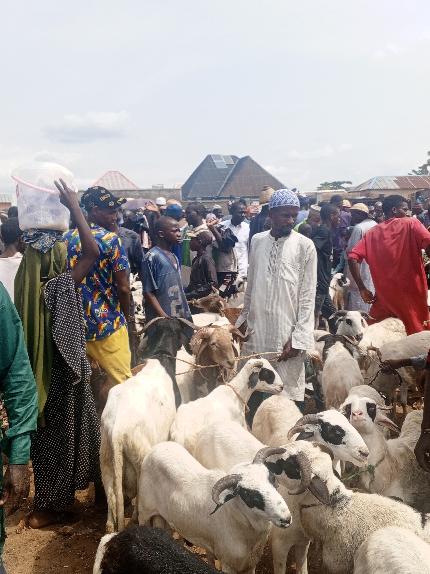 In a crowded outdoor marketplace in an unknown location, a group of white goats are the central focus. People of color surround the goats. One man, wearing a white, striped robe and a light blue hat, holds a rope attached to the goats. To his left, a person in a brightly colored shirt holds up a clear plastic container. The surrounding crowd is diverse in attire, with various hats, robes, and casual clothing. Buildings with corrugated roofing are visible in the background, and the sky is overcast.