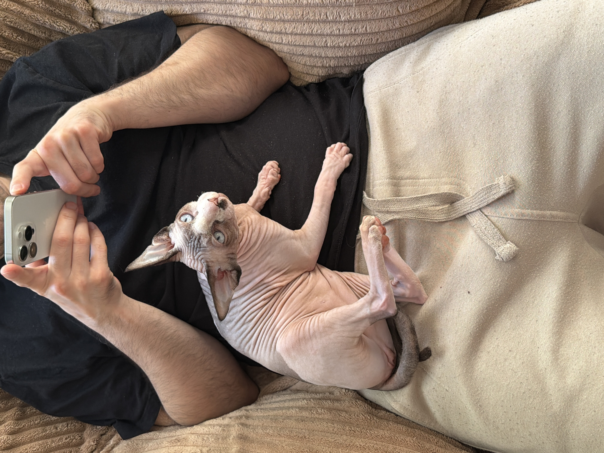 A fair-skinned individual holds an iPhone horizontally, presumably taking a picture of a Sphynx cat nestled on their lap. The individual is wearing a black t-shirt and light-colored sweatpants. The cat is pale pink, wrinkled, and appears to be looking directly at the camera with wide eyes. The setting appears to be indoors, possibly on a couch, judging by the brown corduroy texture visible around the edges of the image. The location is Unknown, Unknown.
