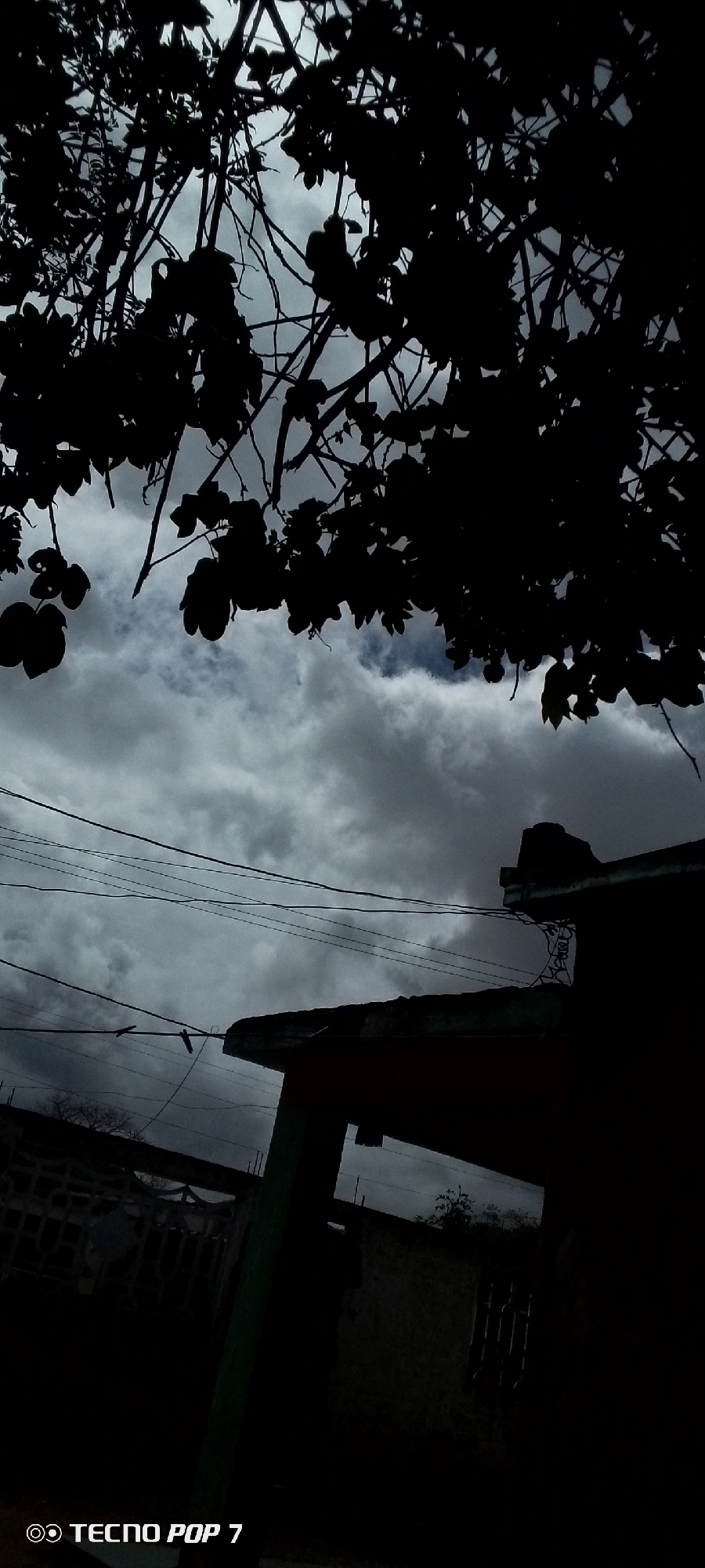The image depicts a silhouetted view of tree branches and leaves against a cloudy sky. In the foreground, the dark silhouette of a building roofline is visible, along with power lines crisscrossing the frame. A small section of a wall with bars is also present on the lower left. The overall lighting suggests an overcast or twilight setting. The bottom left corner displays the text "TECNO POP 7". The scene is consistent with an outdoor environment in a residential area of Altagracia, Venezuela.
