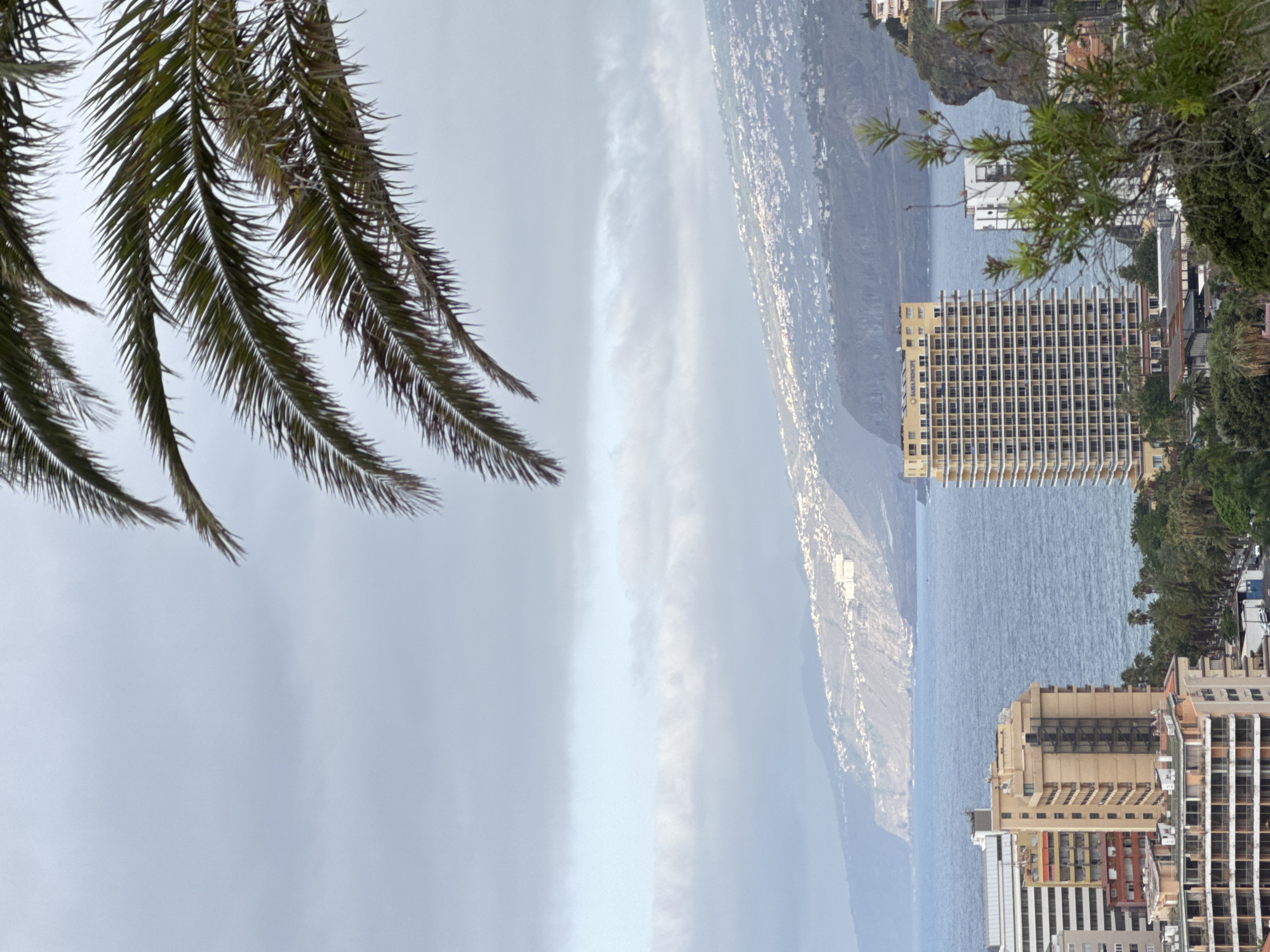 An elevated shot looks down on a coastal city, with palm fronds framing the top portion of the image. The ocean is a deep blue, with whitecaps visible on the water's surface. The coastline is lined with buildings, some of which are high-rise hotels. In the distance, a mountain range rises from the sea, its slopes covered in greenery and dotted with more buildings. The sky is overcast and gray, with a few patches of blue visible. The overall impression is one of a bustling coastal city, with a dramatic natural landscape.