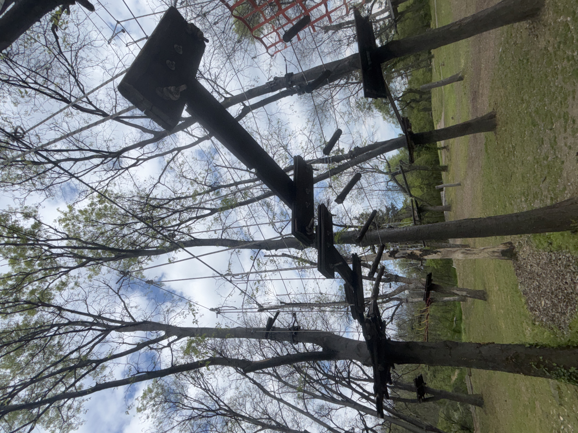 The image displays an outdoor adventure or high ropes course situated among numerous trees, likely in Plovdiv, Bulgaria. The primary subjects are tall tree trunks, which serve as structural supports for a complex array of wooden platforms, steps, and interconnected ropes and wires. These elements form an elevated obstacle course designed for recreational activities like climbing and balancing. Visible components include dark wooden planks bolted to tree trunks, dangling cylindrical wooden or plastic blocks, and a network of white ropes crisscrossing between the trees. A red net-like obstacle is also visible in one section of the course.
The ground below is covered with green grass and scattered patches of dry leaves or mulch. The sky overhead is partly cloudy, suggesting it is daytime with diffused natural light. Many trees exhibit bare branches, while others show nascent light green foliage, indicating the photo was taken during late winter or early spring.
The perspective is low, looking upwards into the canopy and the course structures against the sky. No individuals are present or engaged in activities on the course, and no visible text can be identified within the image frames. The scene captures the static setup of an adventure park, ready for use.