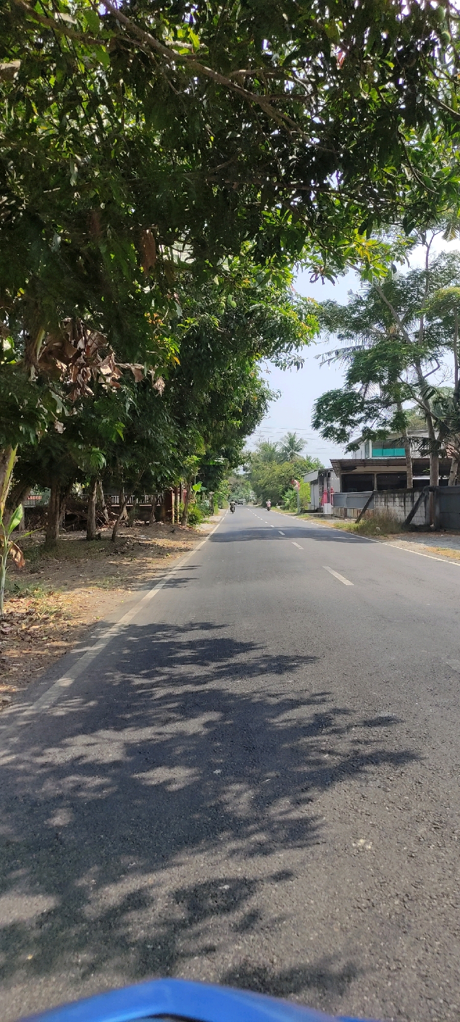The image depicts a straight, paved road with a white broken line marking the center, suggesting a typical Indonesian provincial road. The road is bordered by lush green trees on the left, their branches forming a canopy overhead, casting dappled shadows on the asphalt. On the right side of the road, buildings with a modern, minimalist design are visible, featuring concrete walls and some with what appear to be shaded outdoor areas. The sky is clear and bright, indicating daytime with sunny weather. Two motorcycles are seen in the distance, traveling in the same direction as the camera, with riders visible. The overall environment suggests a semi-urban or rural setting in Klepu, Indonesia, characterized by abundant vegetation and residential or commercial structures along the roadside. The perspective suggests the photo was taken from a moving vehicle, possibly a motorcycle given the blue element at the bottom of the frame.