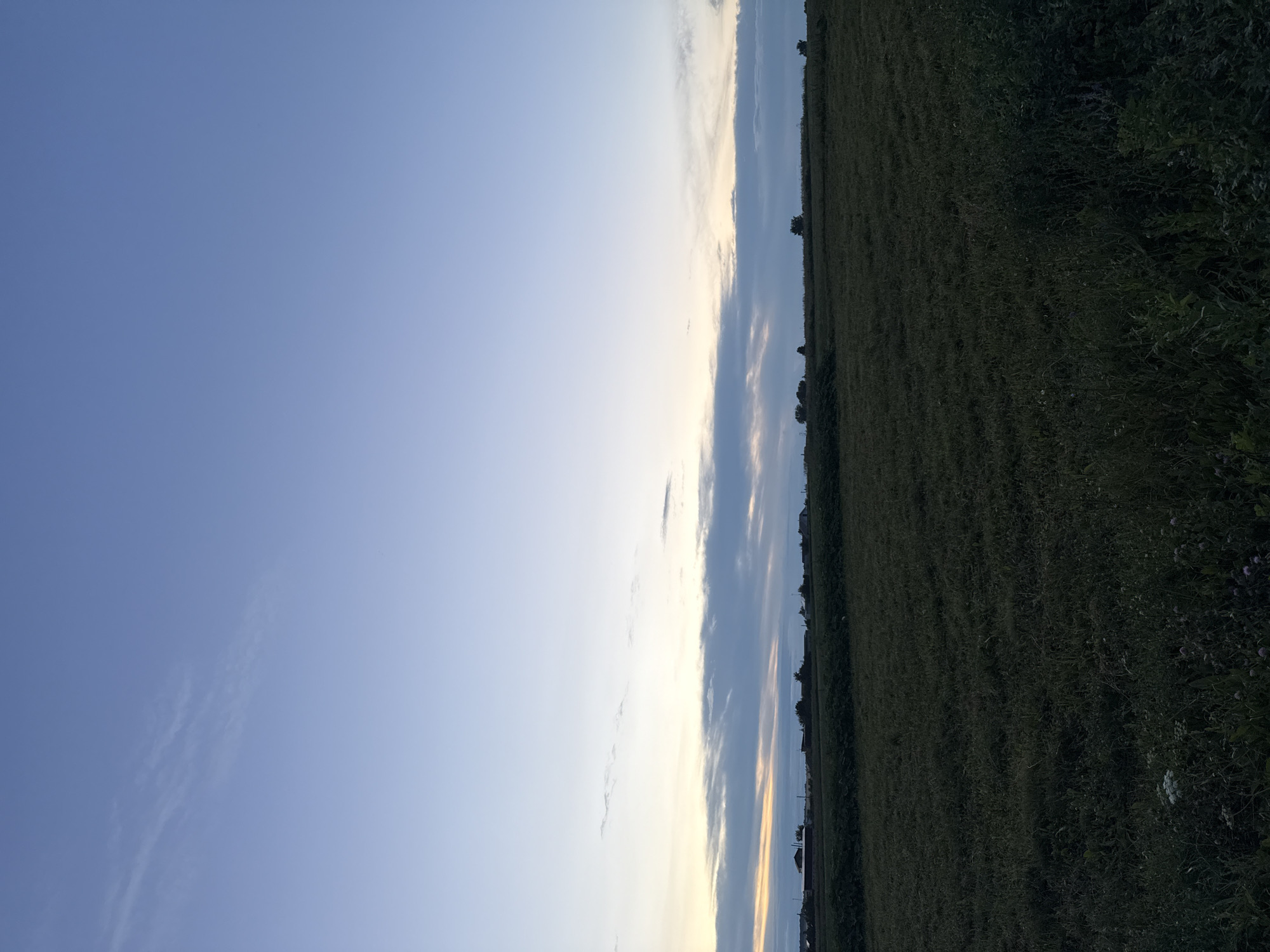 A wide shot captures a rural landscape under a twilight sky in Imelevo, Russia. The foreground is dominated by a dark, dense field of grass, with some small white and pink flowers visible near the bottom. A line of trees and a few buildings are silhouetted against the horizon in the middle ground, suggesting a small settlement or farmsteads. The sky above is a gradient of soft blues, transitioning from a pale, almost white hue near the horizon to a deeper blue higher up. A thin band of clouds stretches across the sky, tinged with the colors of sunset or sunrise. The overall scene evokes a sense of calm and quiet evening in a rural setting.