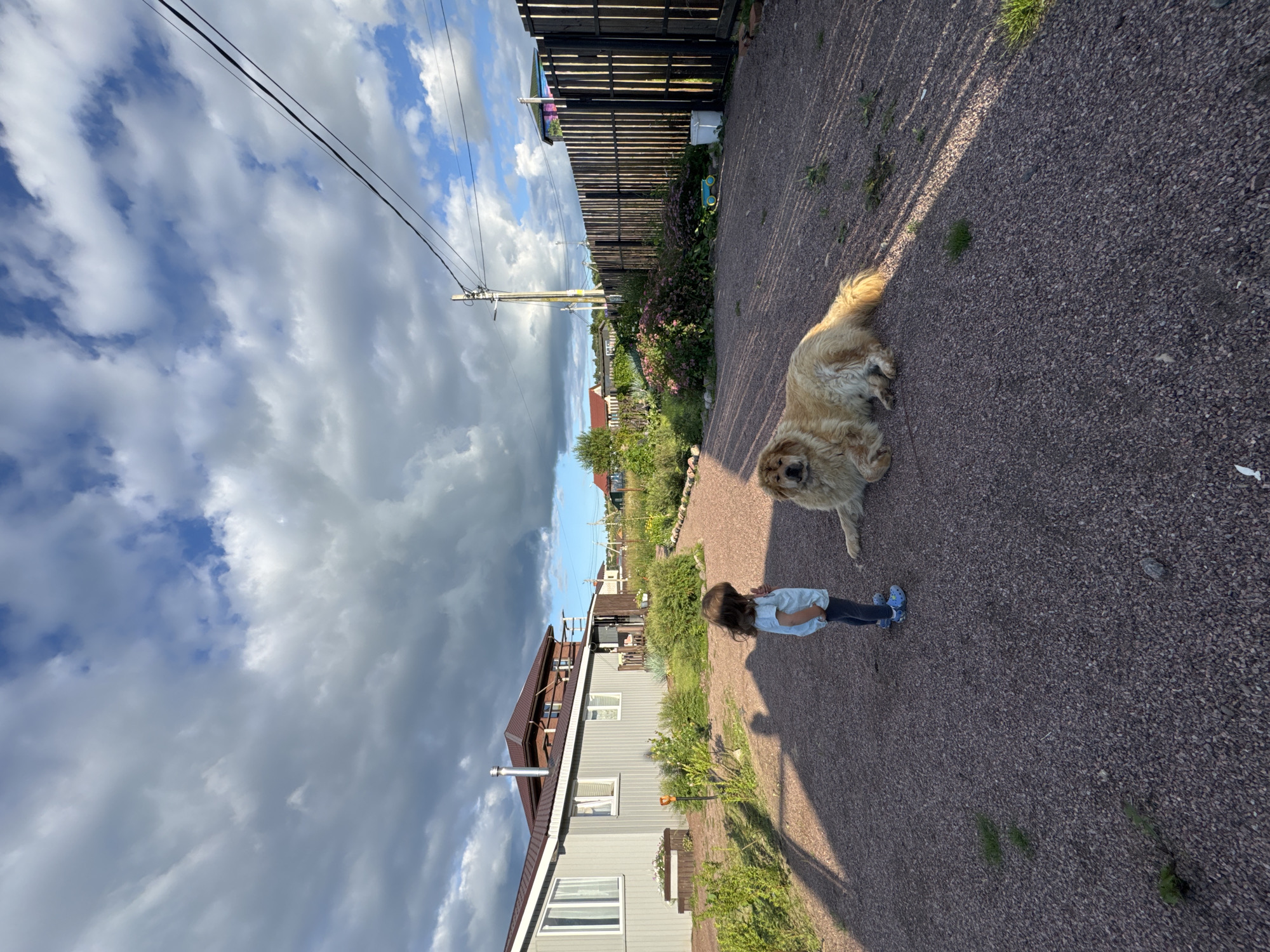 In a suburban setting in Kempelevo, Russia, a young child stands on a gravel path, facing a large, light-colored dog that is lying down. The child is wearing a light blue t-shirt, dark pants, and blue crocs. The dog appears to be a Chow Chow or a similar breed. Behind them, a light grey house with a dark brown roof is visible, along with lush green bushes and plants. A wooden fence runs along the right side of the image, separating the property. The sky is partly cloudy with dramatic, dark clouds interspersed with patches of blue sky. The scene suggests a peaceful, outdoor moment between a child and their pet in a residential area.