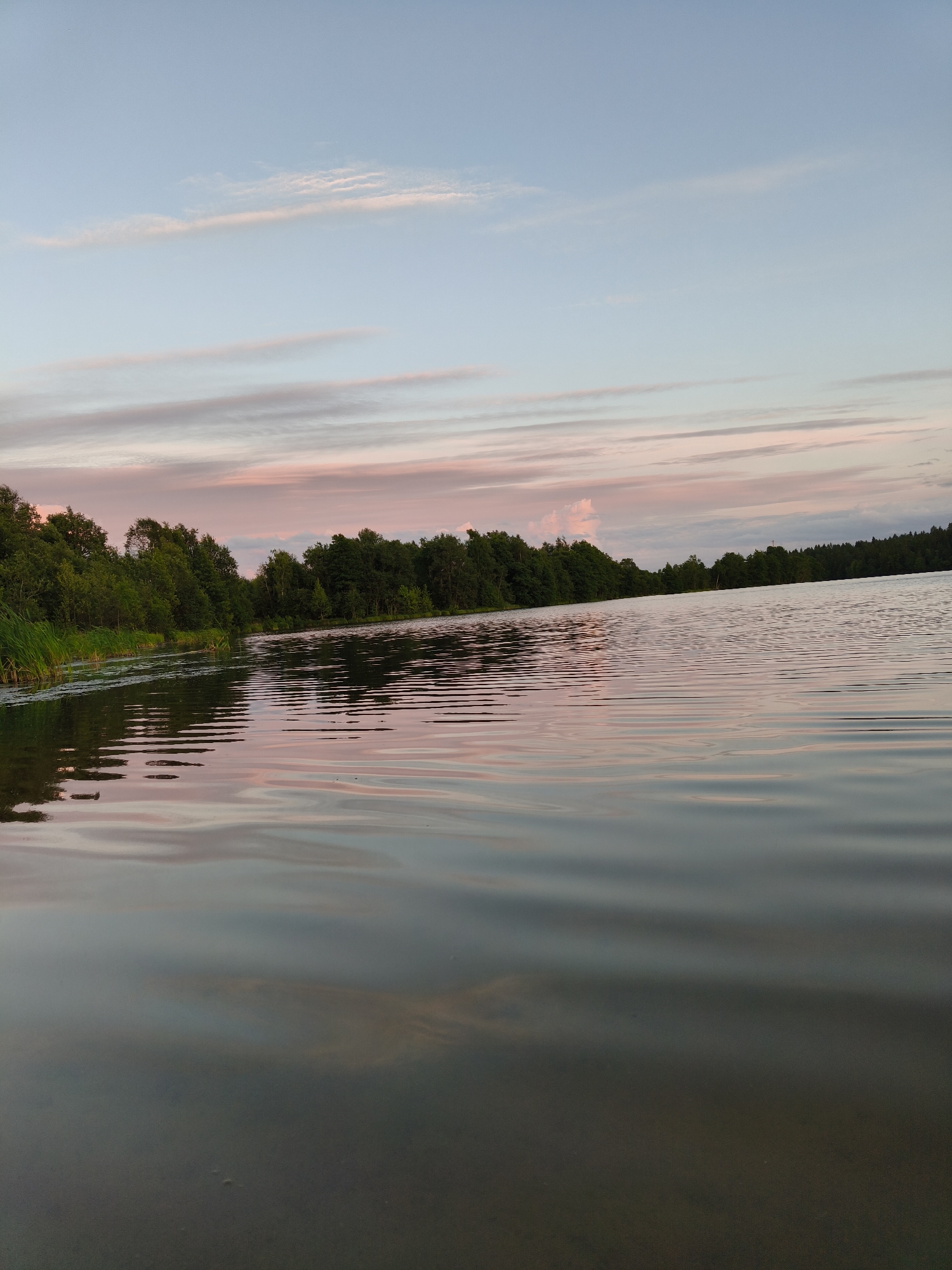 The image depicts a serene natural landscape at dusk in Khittolovo, Russia. The scene is dominated by a wide, calm lake reflecting the pastel hues of the sky. The sky is a soft gradient of light blue, with wispy clouds tinged with pink and orange, indicating the sun is setting or has recently set. Along the far bank of the lake, a dense line of dark green trees forms a natural border. The water is slightly rippled, creating horizontal lines of light and shadow that stretch across the surface. Reeds and vegetation are visible along the near edge of the lake, adding texture to the shoreline. The overall atmosphere is tranquil and peaceful, characteristic of a quiet evening by the water. There are no people or animals visible in the image.