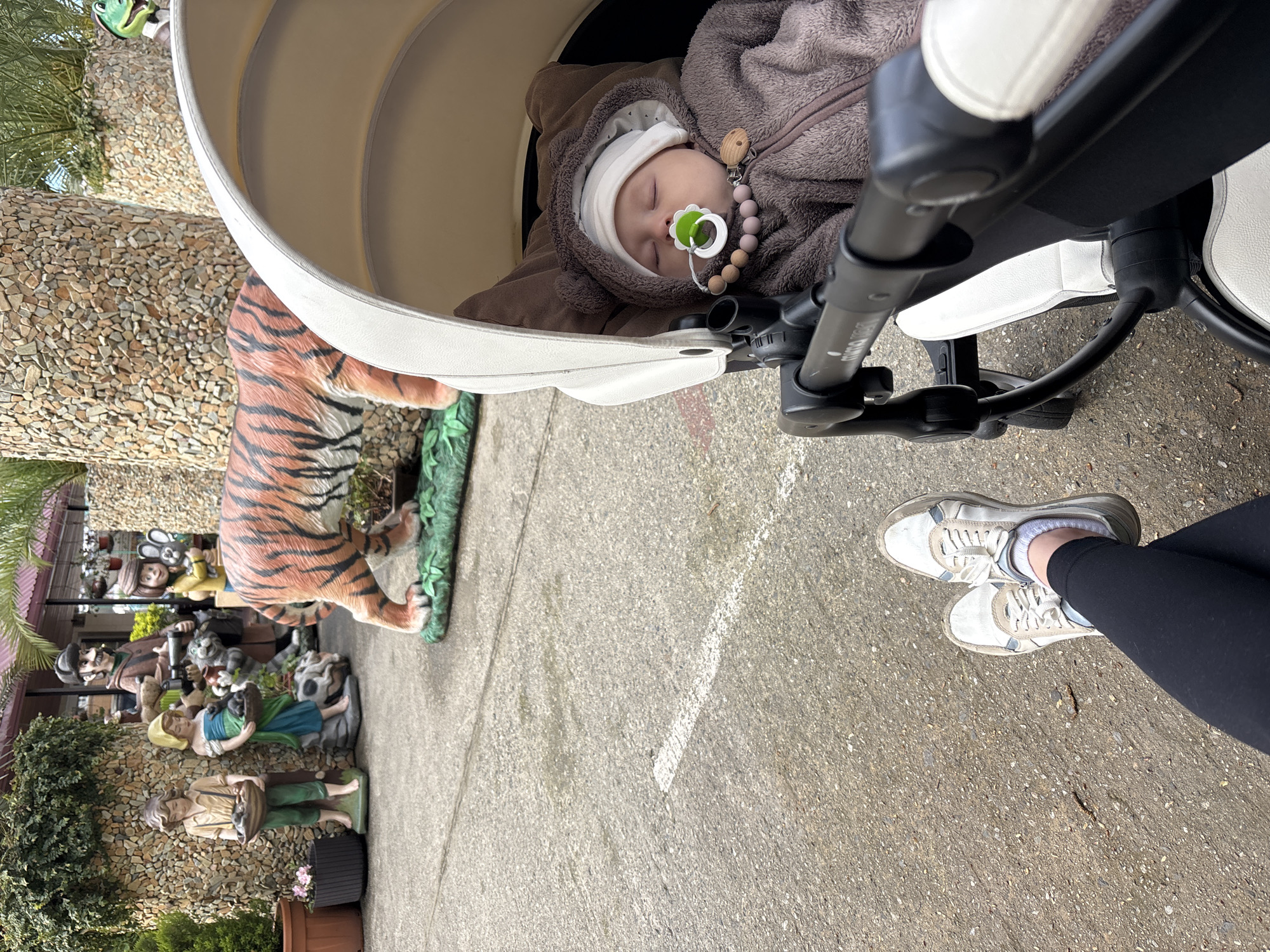 A baby wearing a brown hooded jacket and a white hat is sleeping in a baby stroller. The baby has a pacifier in their mouth. The stroller is on a concrete surface. A person wearing black leggings and white shoes is standing next to the stroller. In the background, there are several statues, including a tiger. The location appears to be the city of Sochi, Russia.