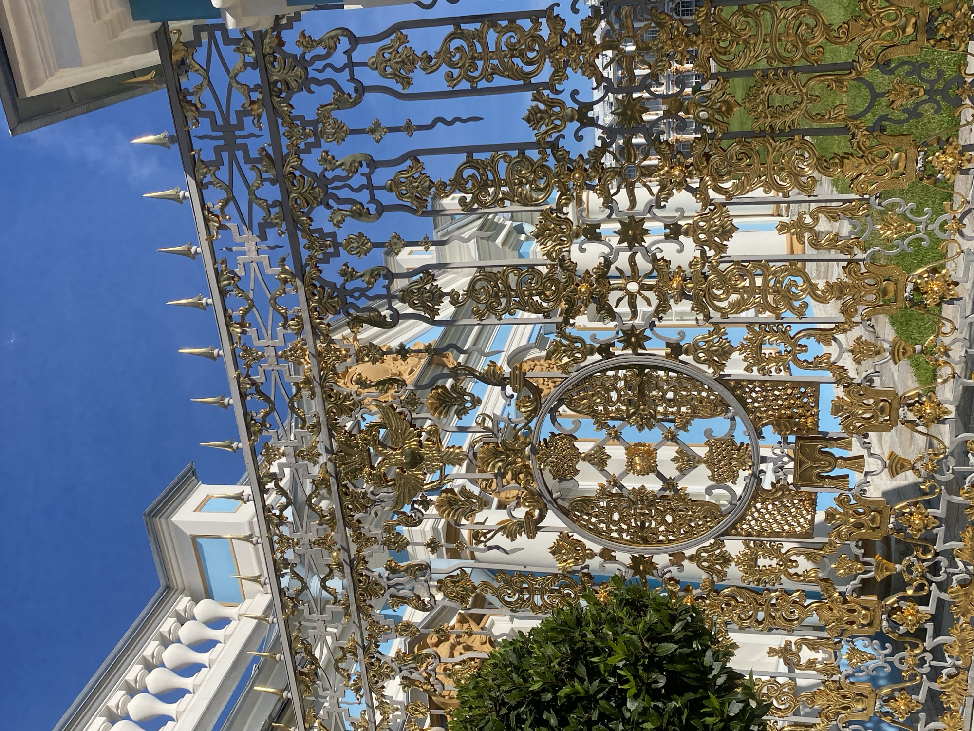 The image shows a close-up of an ornate, gilded wrought-iron fence in front of a white and blue building under a clear blue sky. The fence is highly decorative, featuring intricate scrollwork, floral motifs, and spiked finials. Behind the fence, the building exhibits classical architectural elements such as columns, arched windows, and a balustrade. A portion of a lush green tree is visible to the left of the fence. This scene is likely the Catherine Palace in Pushkin, Russia, known for its extravagant Baroque architecture and elaborate gardens. There are no people or animals visible in the image. The lighting suggests it is a sunny day.