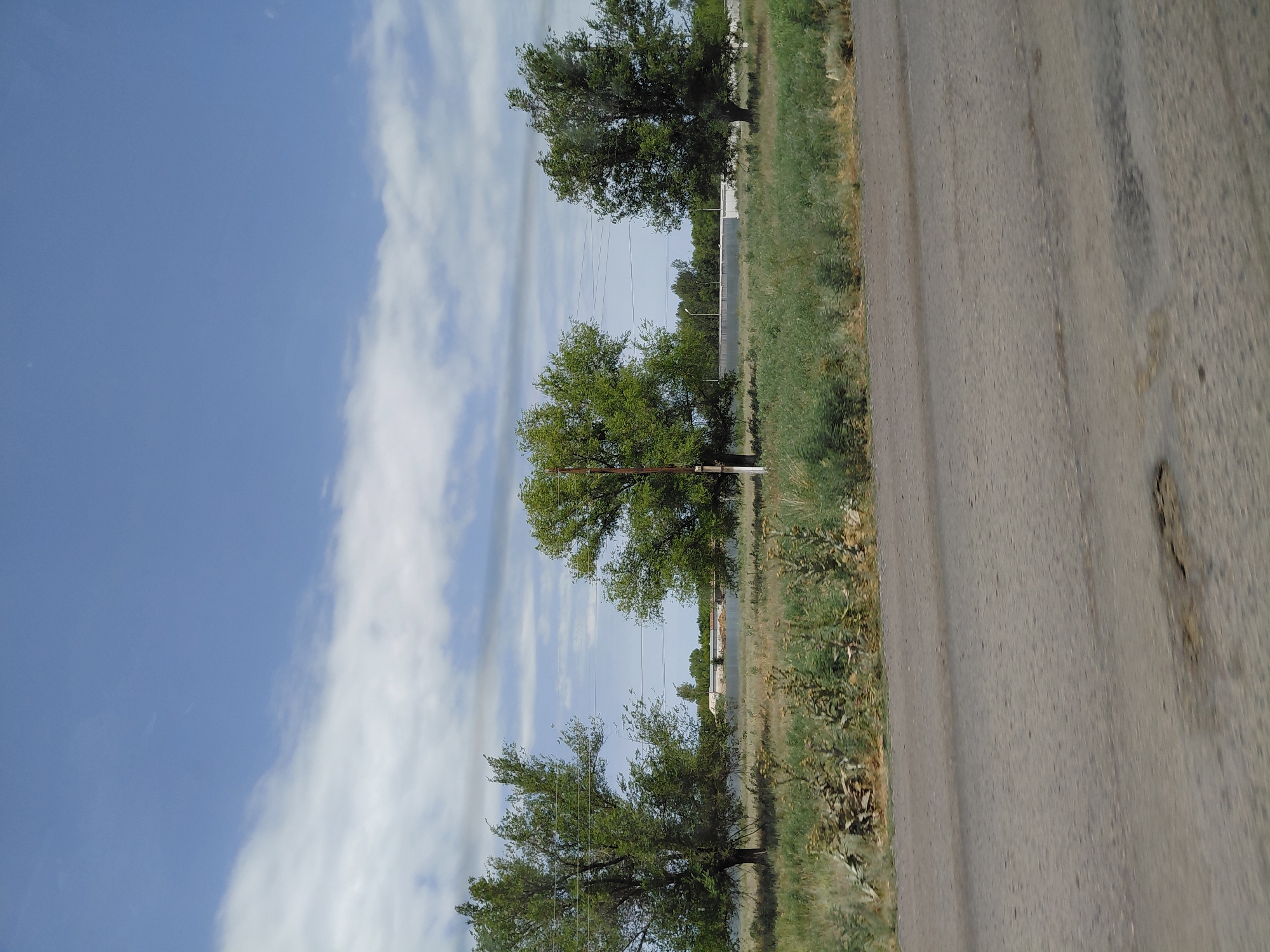 The image shows a rural landscape in the city of Qazaqstan, Kazakhstan. In the foreground, there is a paved road with visible potholes and a blurred texture, suggesting movement. Beyond the road, a field of dry grass and green vegetation stretches out. Three mature trees with full green canopies are spaced across the middle ground. Power lines are visible suspended between poles, passing behind the trees. In the background, a low, light-colored fence or barrier runs horizontally, behind which there are some buildings and a line of distant trees. The sky is blue with scattered white clouds. The overall scene depicts a sunny day in a somewhat arid, open environment.