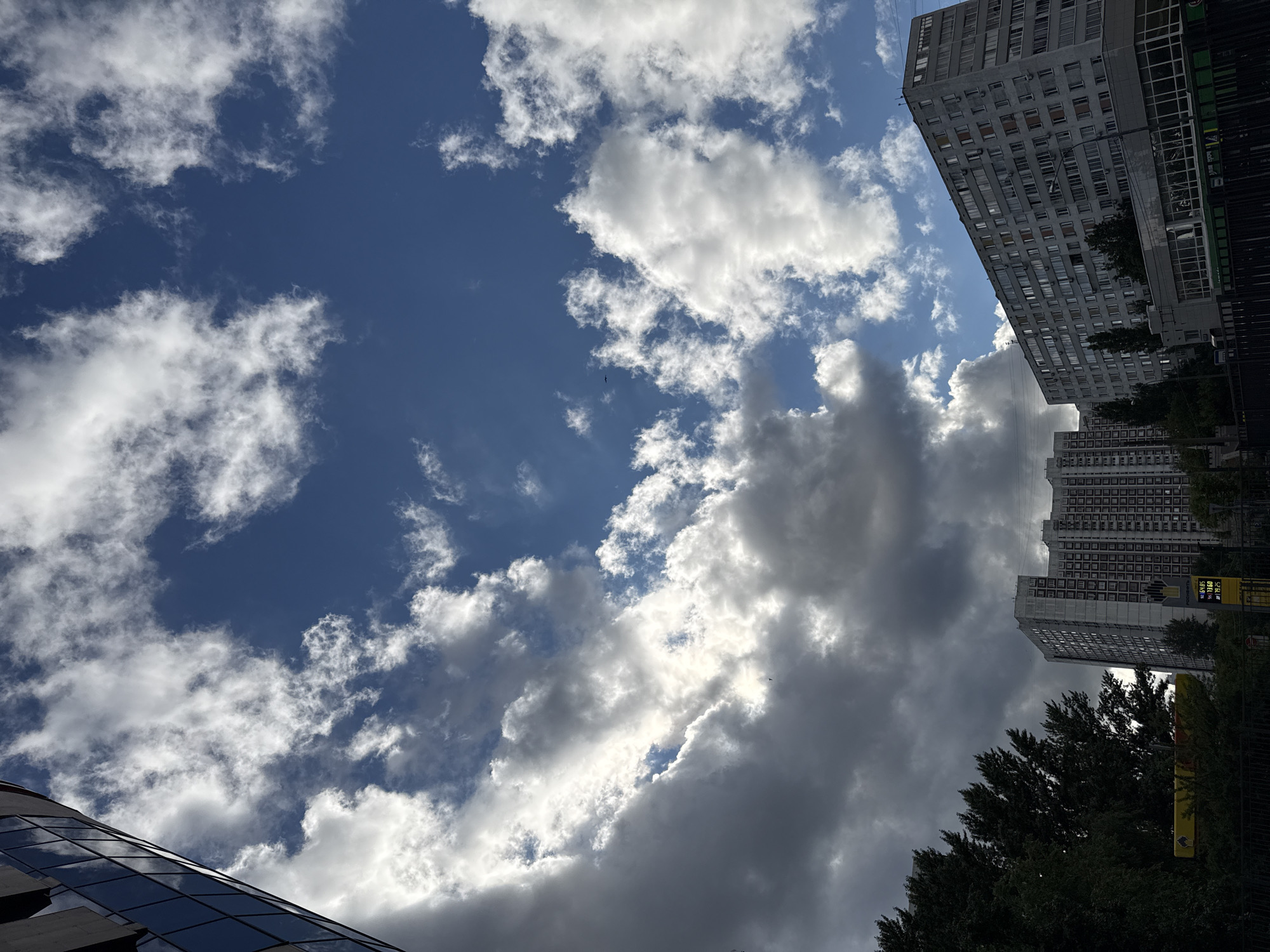 This is a full, vertical shot of a cityscape under a dynamic sky in Moscow, Russia. In the foreground, the edge of a modern building with reflective glass is visible on the left, angled towards the top of the frame. The sky is a vibrant blue, filled with a dramatic mix of white and dark gray clouds. Puffy white clouds catch the sunlight, creating bright highlights, while other clouds appear darker and heavier, suggesting an impending change in weather.
In the middle ground and background, several tall, residential buildings are visible. These are typical Soviet-era apartment blocks, characterized by their repetitive window patterns and light-colored facades. Some of these buildings have visible signage. On the far right, a large, gray apartment building dominates the lower portion of the frame, its windows reflecting the sky. To the left of this, another similar apartment building is partially visible. In the lower left, the tops of dark green trees are seen. A yellow sign, possibly for a gas station, with red and black text is also visible amidst the trees. A black metal fence runs along the bottom of the image.
The overall impression is one of urban life under a dramatic and ever-changing sky.
