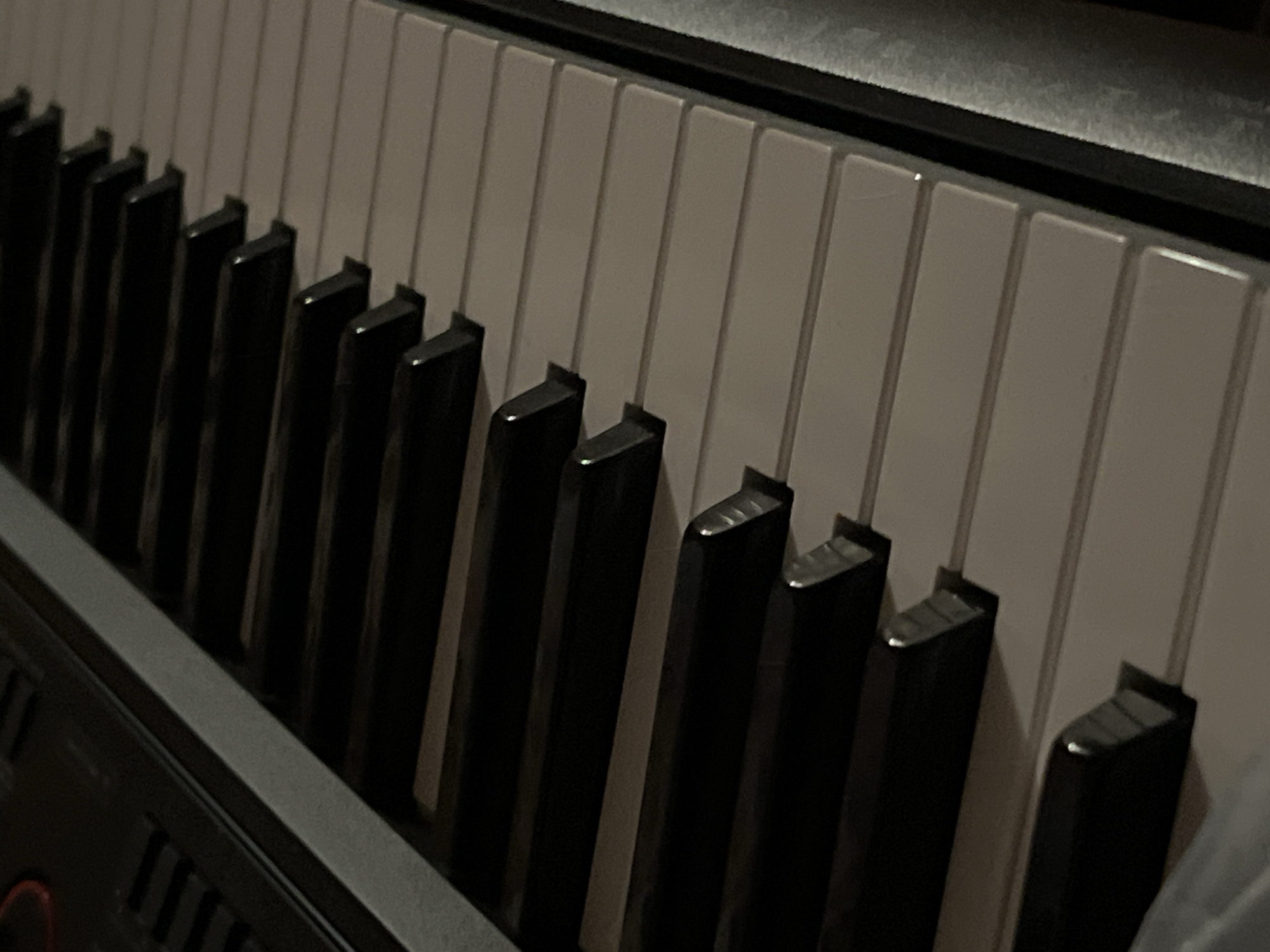 The image shows a close-up of a piano keyboard. The black and white keys are arranged in their standard alternating pattern. The focus is on the keys themselves, obscuring any larger context. There is no indication of location within Palilula Urban Municipality, Serbia, or any indication of other people or objects in the environment.
