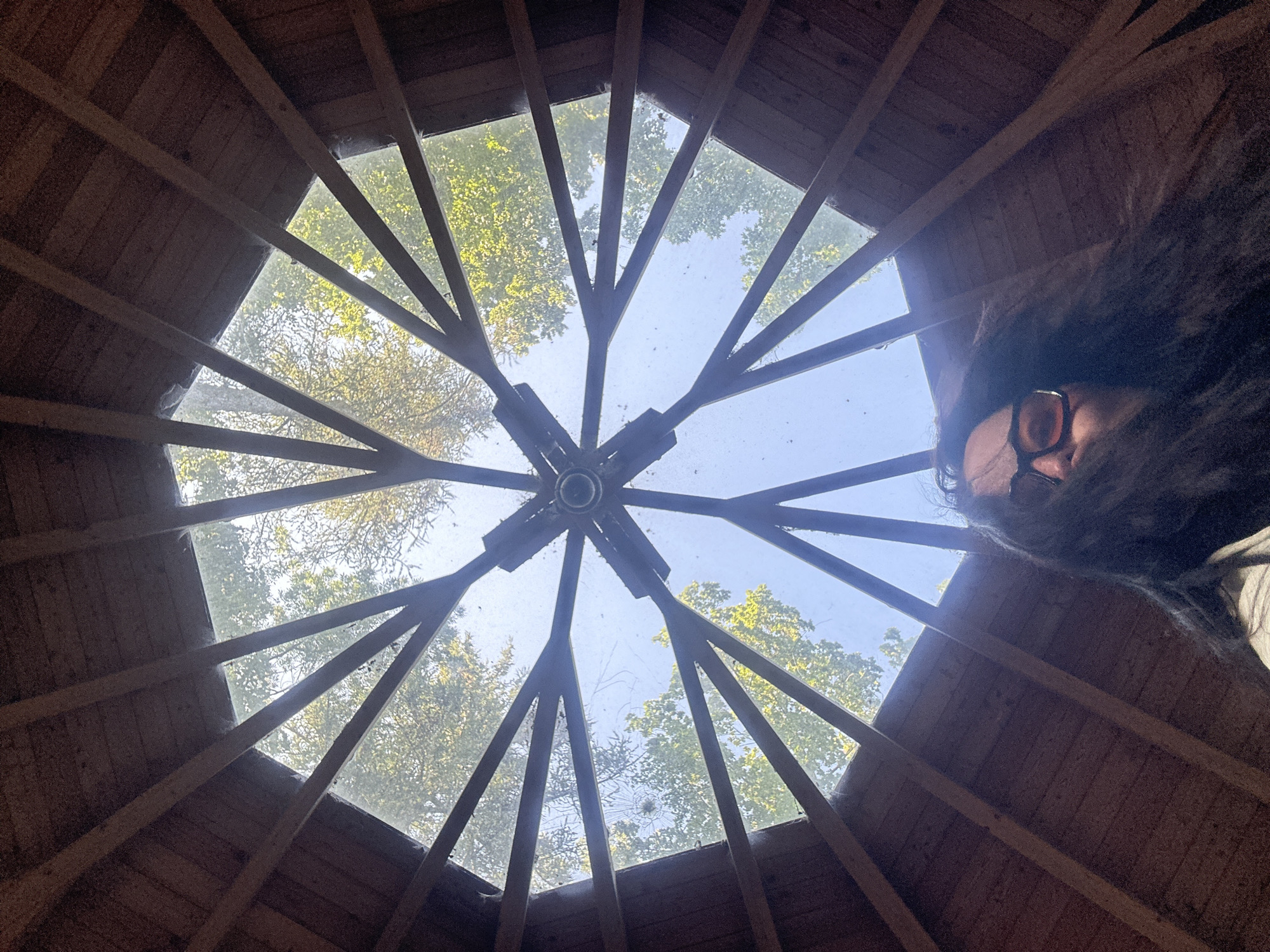 The image depicts a low-angle shot looking up at a wooden ceiling with a skylight. The ceiling consists of wooden planks and rafters that radiate outwards from a central point in the skylight, creating a geometric pattern. The skylight is octagonal and allows a view of the sky and trees. The leaves of the trees are green and yellow, suggesting it might be autumn. The sky is blue and clear. In the foreground, a person with long, dark hair and glasses is partially visible, with their face turned towards the camera. The person appears to be inside a structure with a sloped wooden roof. The scene appears to be in a natural setting. There is no information in the image to place it in Günzburg, Germany.