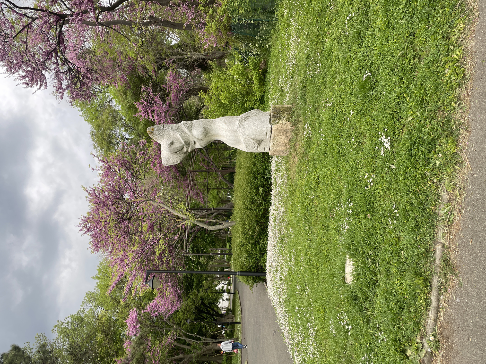 The image captures a sculpture of a female torso in a park setting. The sculpture is made of grey stone and is placed on a stone base. The park is lush with green grass and trees, including trees with vibrant purple blossoms. A paved pathway runs alongside the grassy area, with a person walking in the distance. The sky is overcast, suggesting a cloudy day. The location is likely a park in Burgas, Bulgaria, given the presence of local flora and architectural styles in the background.