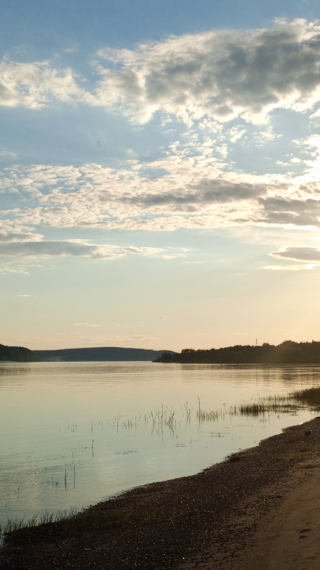 This forensic description details an exterior landscape scene captured in or near the city of Шолья, Russia. The image depicts a vast, calm body of water, likely a river or lake, under a partially cloudy sky during either dawn or dusk.
The upper two-thirds of the image consist of a light blue sky transitioning to a pale yellow-orange glow on the right horizon, indicating the position of a low sun, partially obscured by clouds. Various cloud formations are present, including scattered white altocumulus-like clouds across the lower sky and larger, more diffuse greyish-white stratocumulus clouds in the upper and mid-sky.
The middle ground features a tranquil body of water, reflecting the soft light of the sky with a smooth, greenish-blue hue. Minimal ripples are visible on the water's surface. Scattered, thin, dark vertical elements, consistent with reeds or submerged branches, protrude slightly above the water in the mid-right section.
A dark, silhouetted landmass, composed of distant hills or a forested bank, spans the horizon line, separating the sky from the water. On the right side of this distant land, a cluster of trees and a faint vertical structure, possibly a transmission tower, are visible against the lighter sky.
The foreground, occupying the bottom right quadrant, consists of a gently curving shoreline composed of dark brown sand and small pebbles. A thin strip of dark green vegetation or grass is visible at the immediate water's edge on the far left of the foreground. No human subjects, animals, or active interactions are present in the scene.