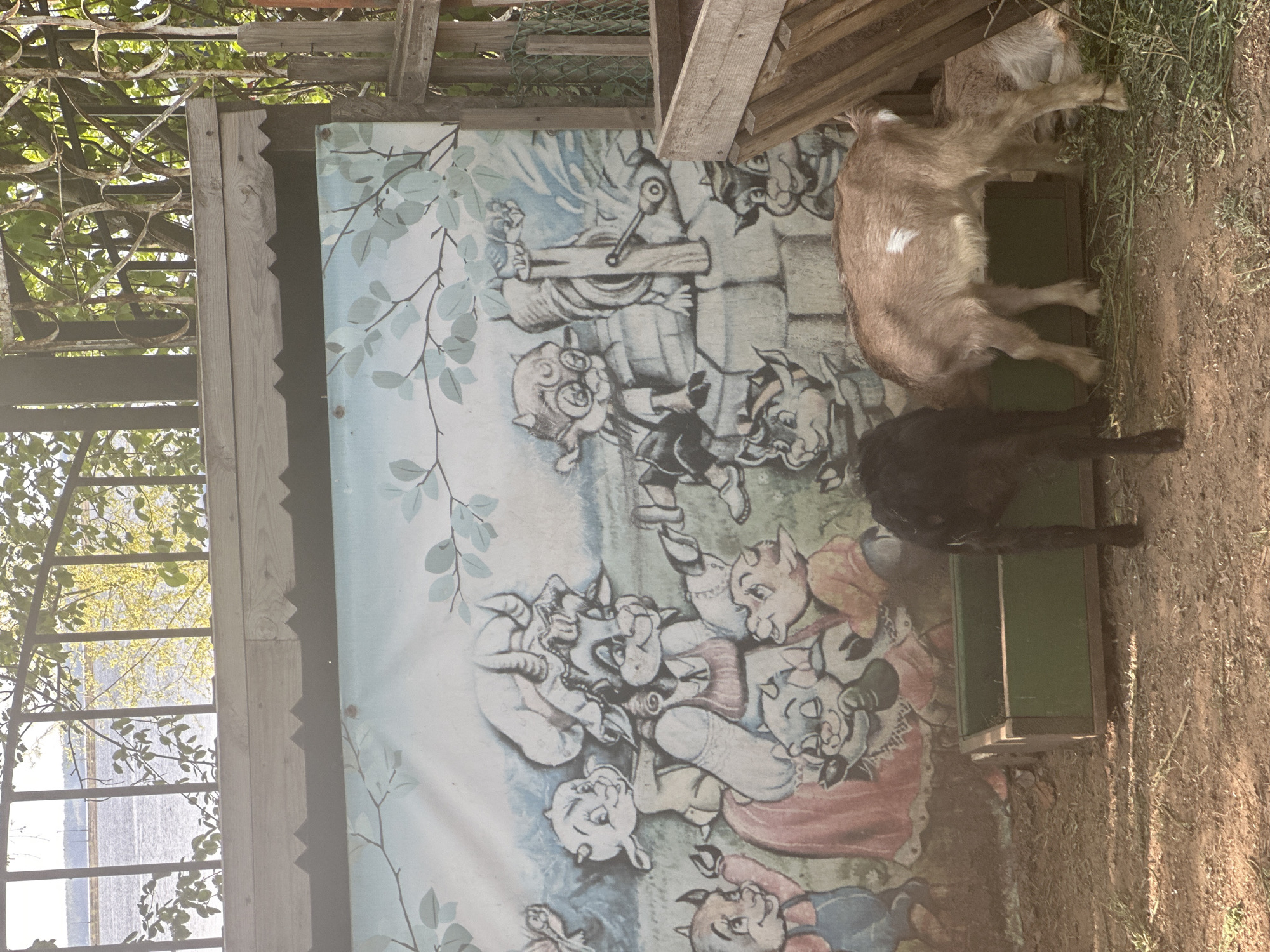 Two goats, one tan and one black, are eating from a green trough in front of a painted backdrop. The backdrop features a light blue background with illustrations of cartoonish creatures, reminiscent of folklore or fairy tales. The scene is in an outdoor setting with some wooden structures framing the view. There's a partial view of trees and a lake or river in the background. It is not possible to determine the exact location in the city of Chaikovsky, Russia, from this image.