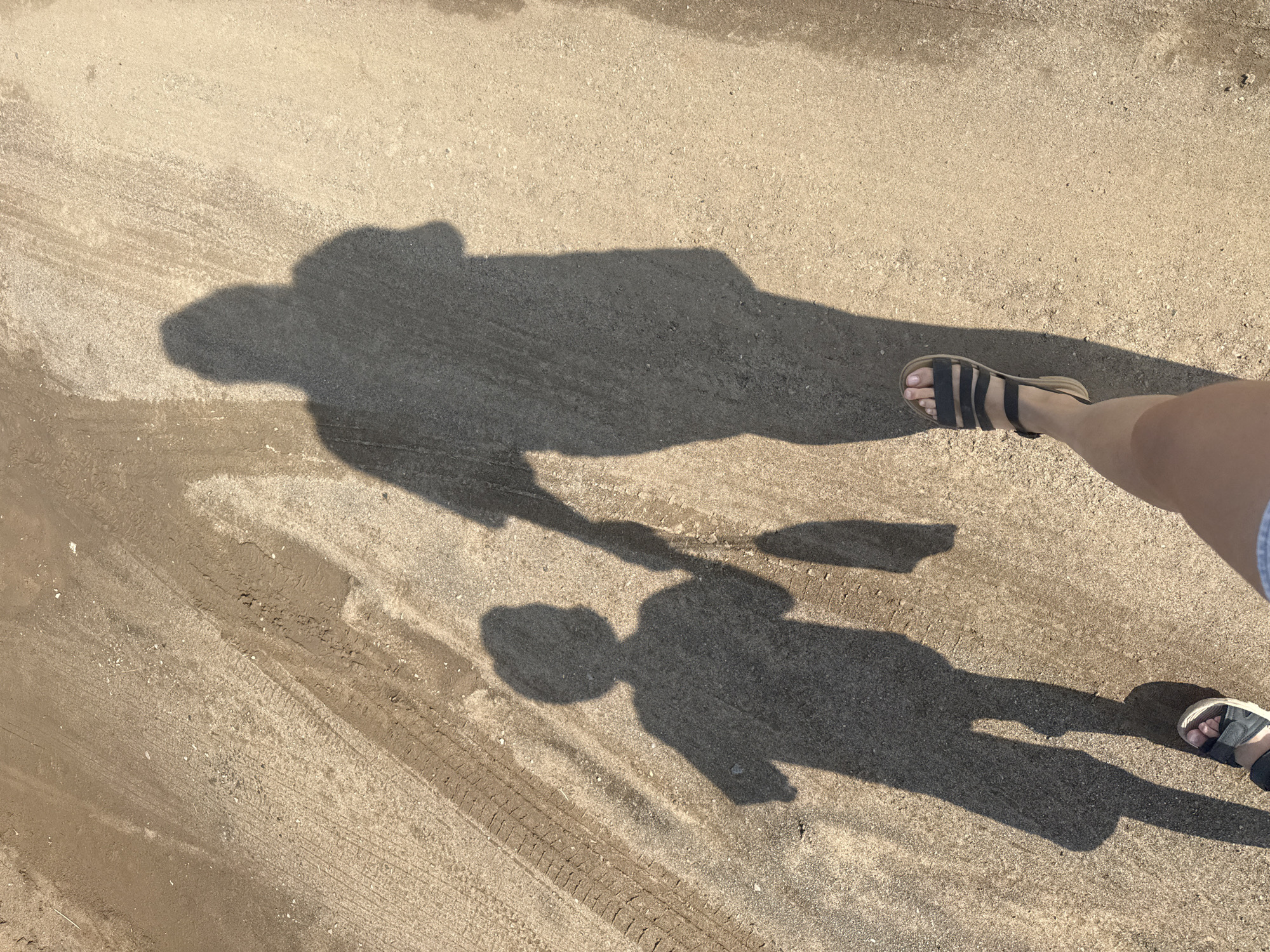 The image shows the shadows of two people, an adult and a child, walking on a dirt road. The adult's shadow is larger and casts a shadow of a person wearing a t-shirt and shorts. The child's shadow is smaller and appears to be holding the adult's hand. The road has tire tracks and some scattered debris. The lighting suggests it is daytime. The location is specified as Chaikovsky, Russia.
