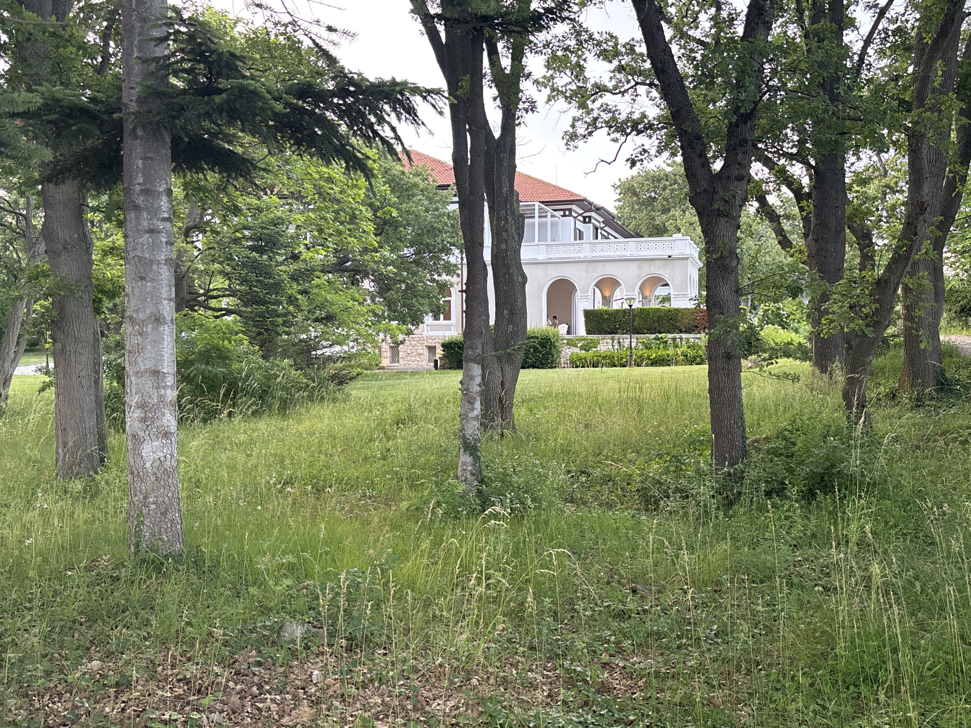 The image depicts the exterior of a modern building situated in a lush, green environment. The building features a white facade with a red tiled roof and a covered walkway with arched openings. In the foreground, a dense meadow of tall grass and scattered trees obscures the lower portion of the building. Several large trees with thick trunks and green foliage are present in the foreground and middle ground. The overall impression is one of a well-maintained property surrounded by nature. The building is identified as the "Villa Boryana," a historical landmark located in the city of Varna, Bulgaria, on the coast of the Black Sea. It is situated within a park and is a notable example of early 20th-century architecture.