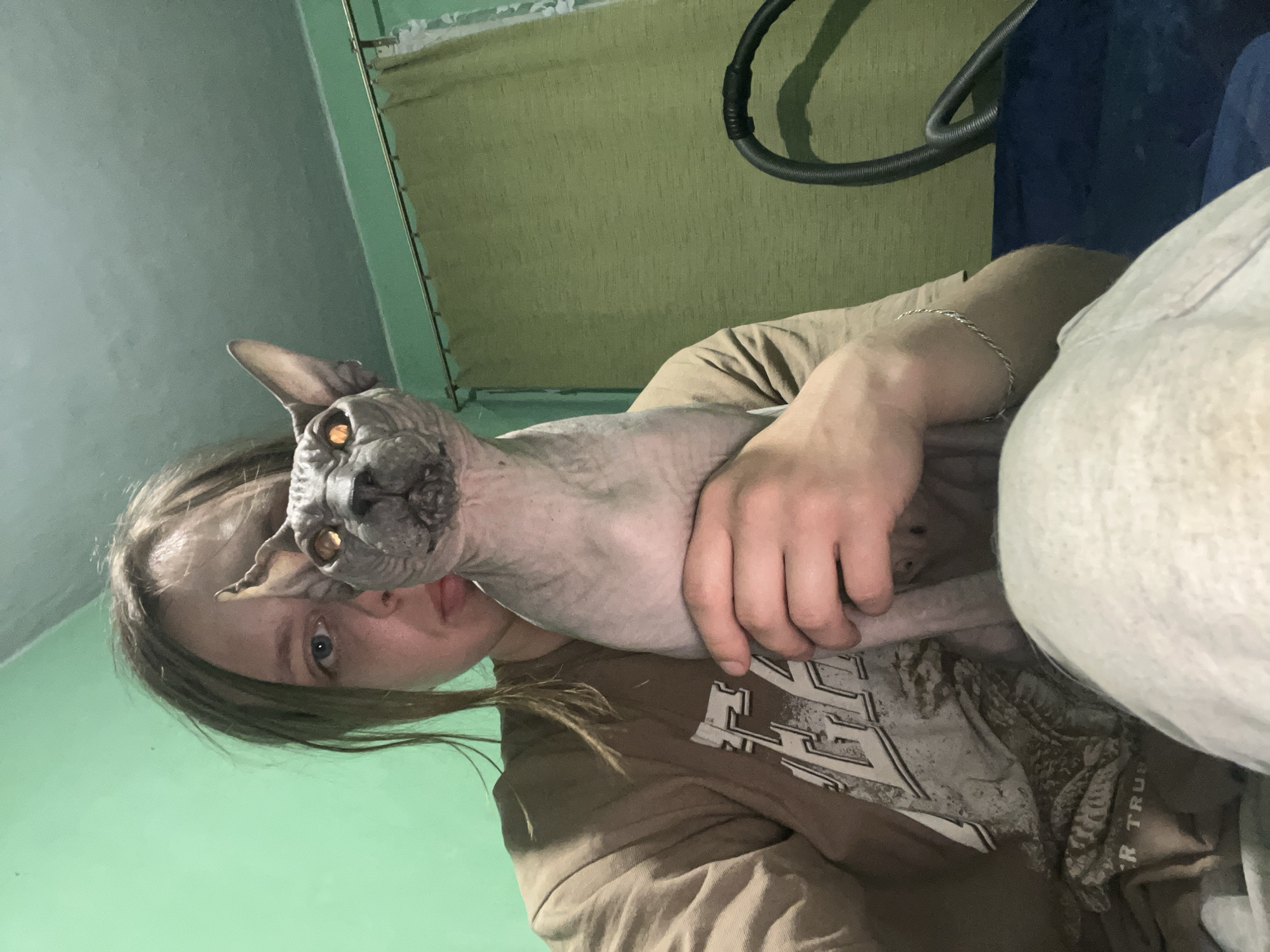 A young person is holding a sphynx cat. The background includes a green wall, part of a curtain, a blue item, and a vacuum cleaner hose. The person is wearing a brown t-shirt and light-colored pants. No specific location in Nizhny Tagil, Russia, can be determined from the image.